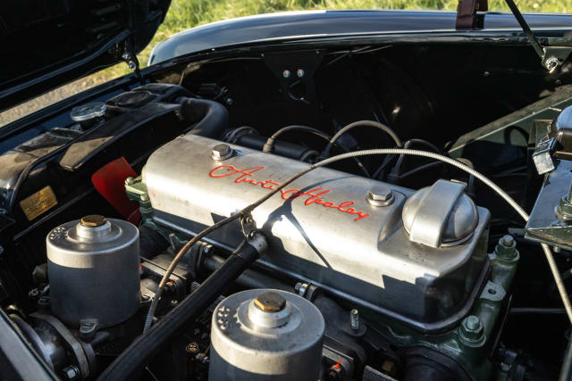 AUSTIN HEALEY 100 Bn2 Fia 1956 used car