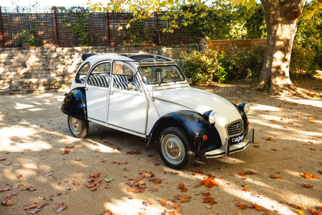 CITROEN 2 Cv 6  Special  1988 occasion