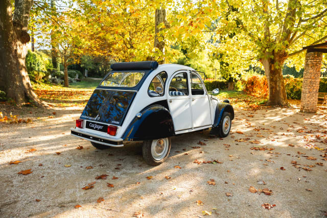 CITROEN 2 Cv 6  Special  1988 occasion