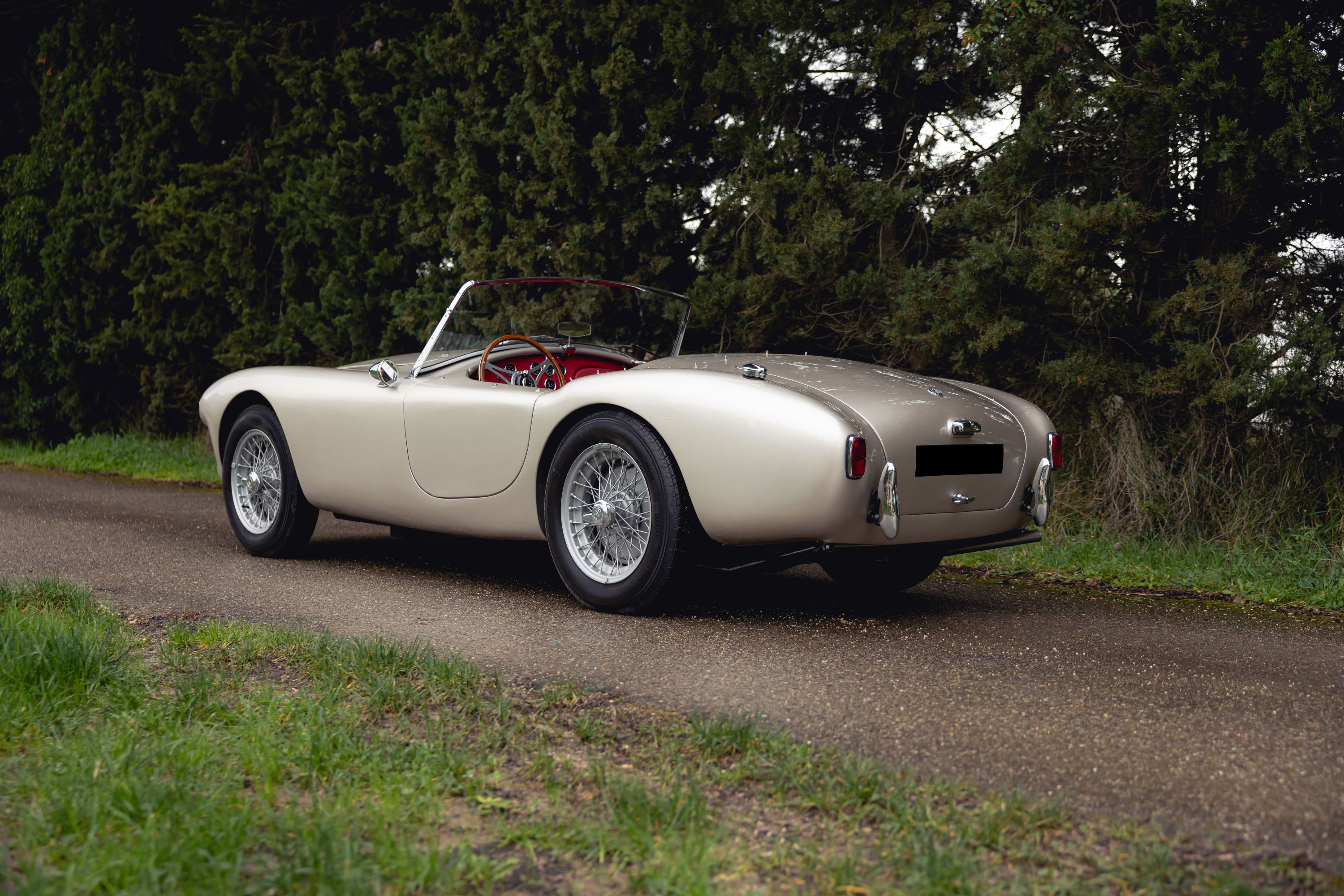 AC Ace 1957 occasion extérieur (2)