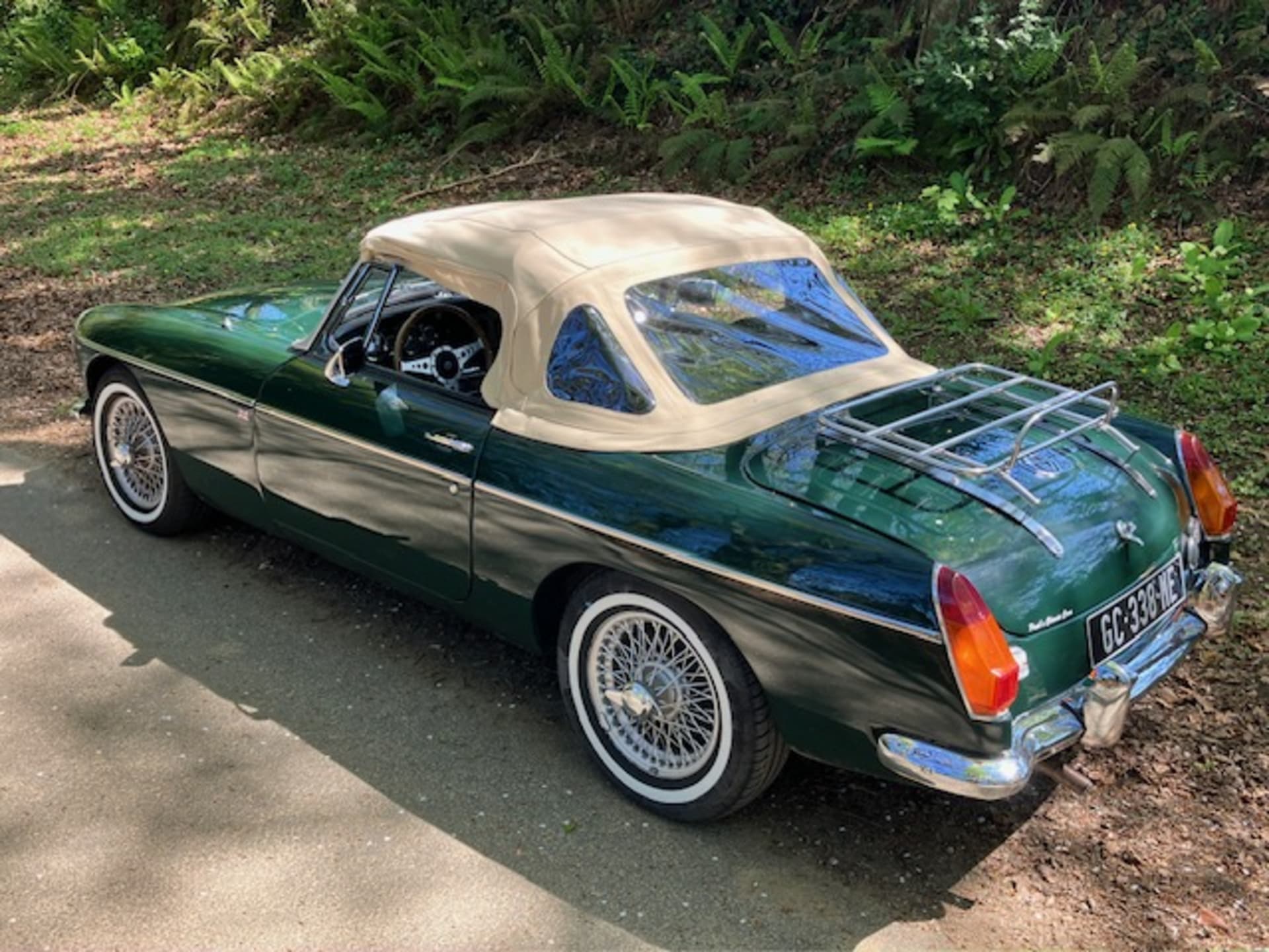 Mg B