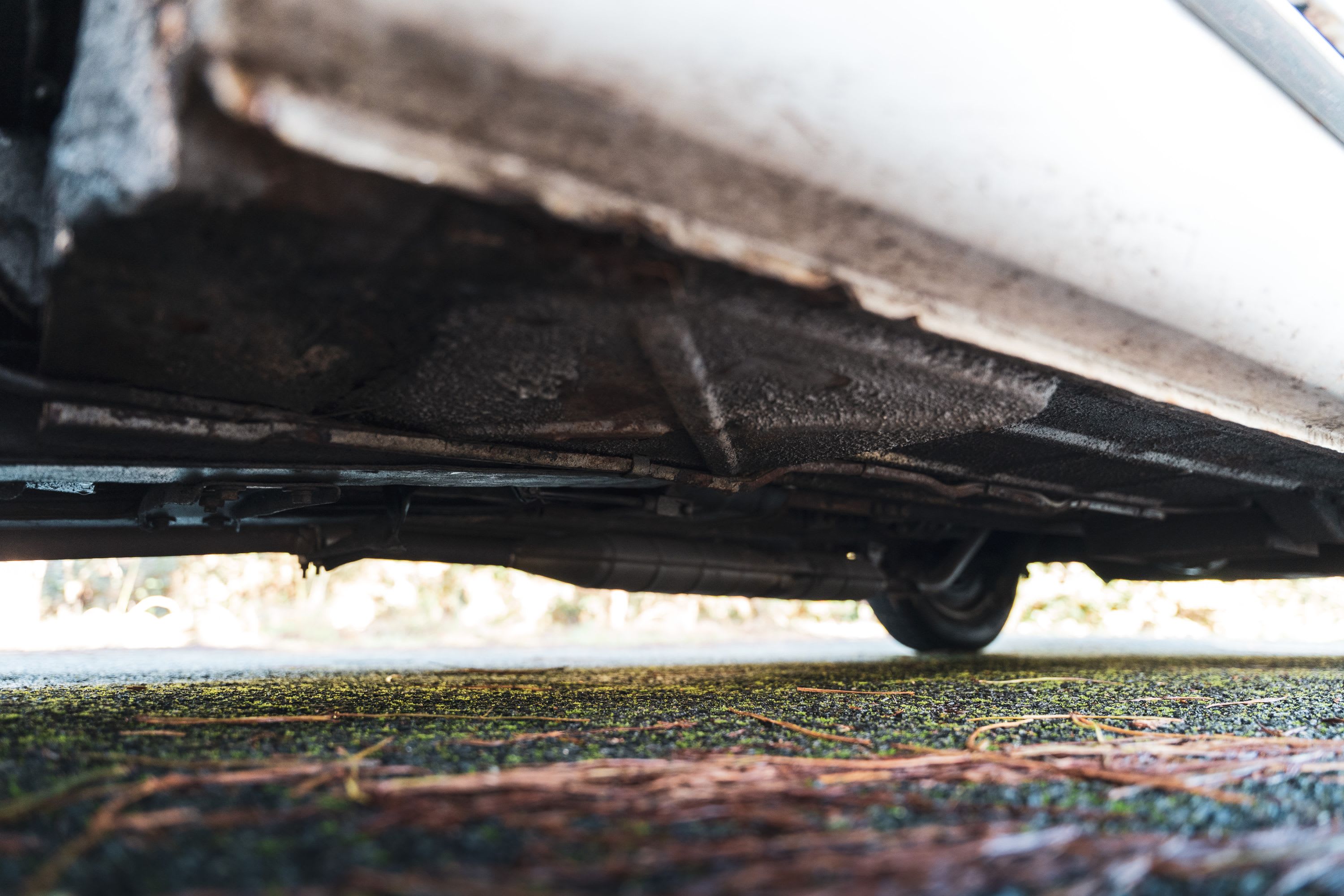 FIAT 1200 Cabriolet 1960 occasion détails (1)