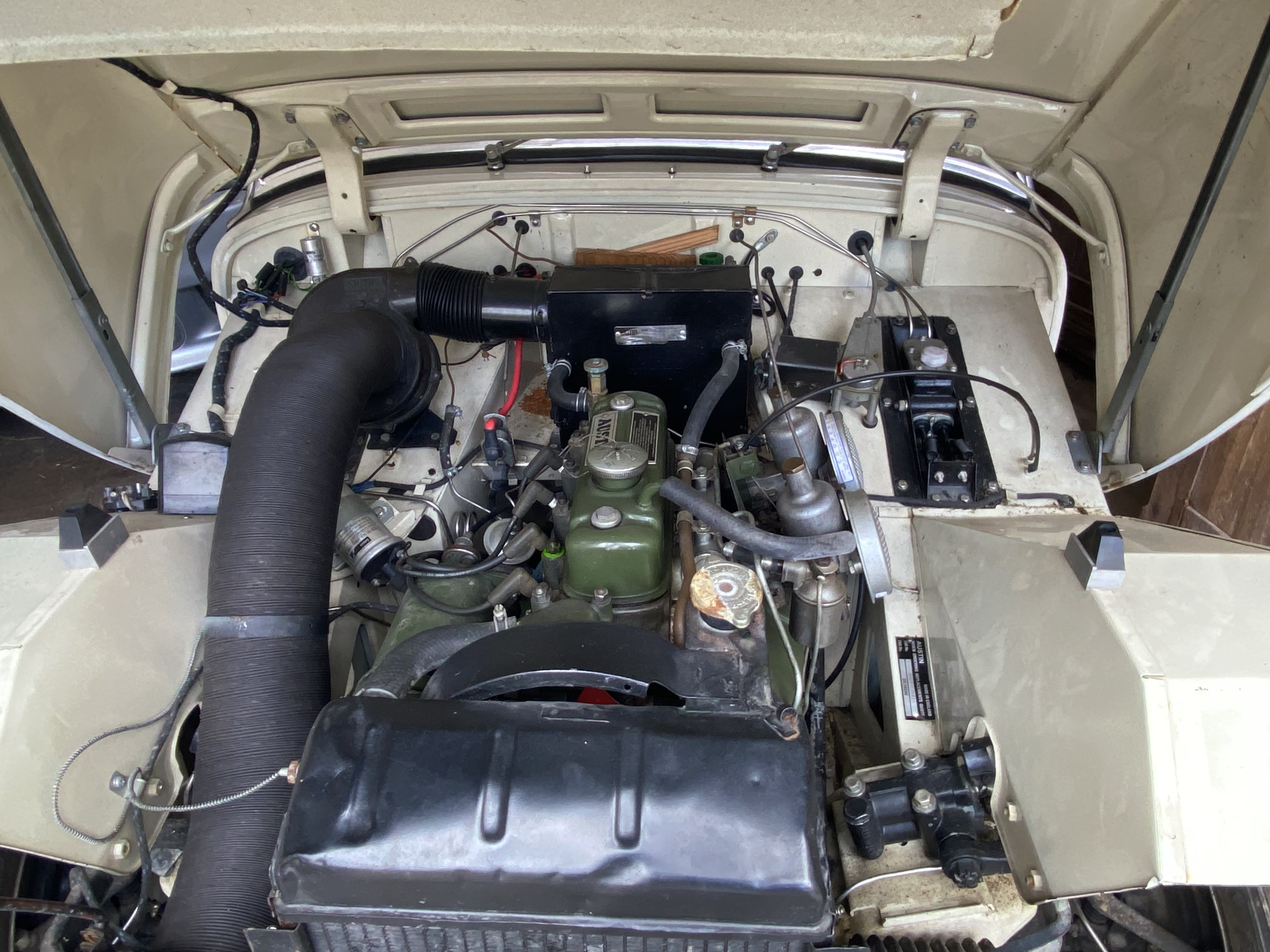 AUSTIN HEALEY Sprite Frogeye 1959 occasion mécanique (1)