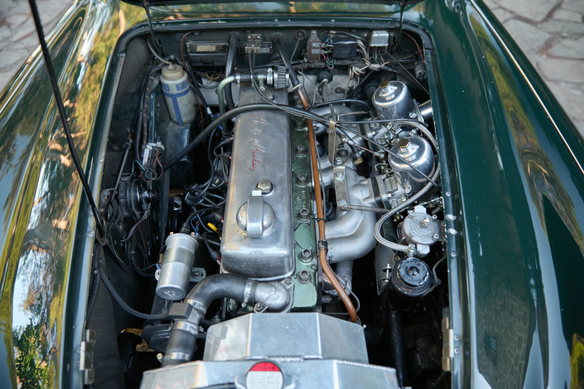AUSTIN HEALEY 3000 Mark Iii Bj8 1964 occasion mécanique (1)