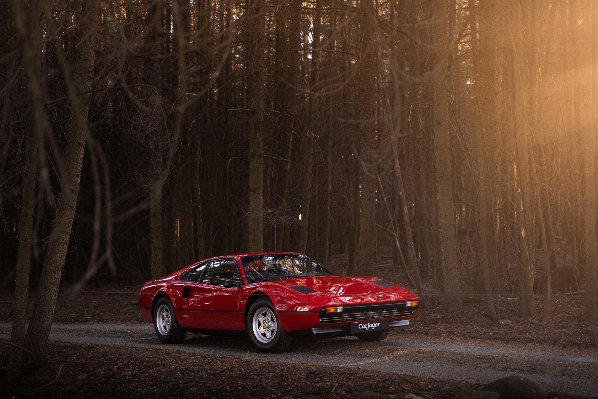 Photo FERRARI 308 gtb vetroresina 1976