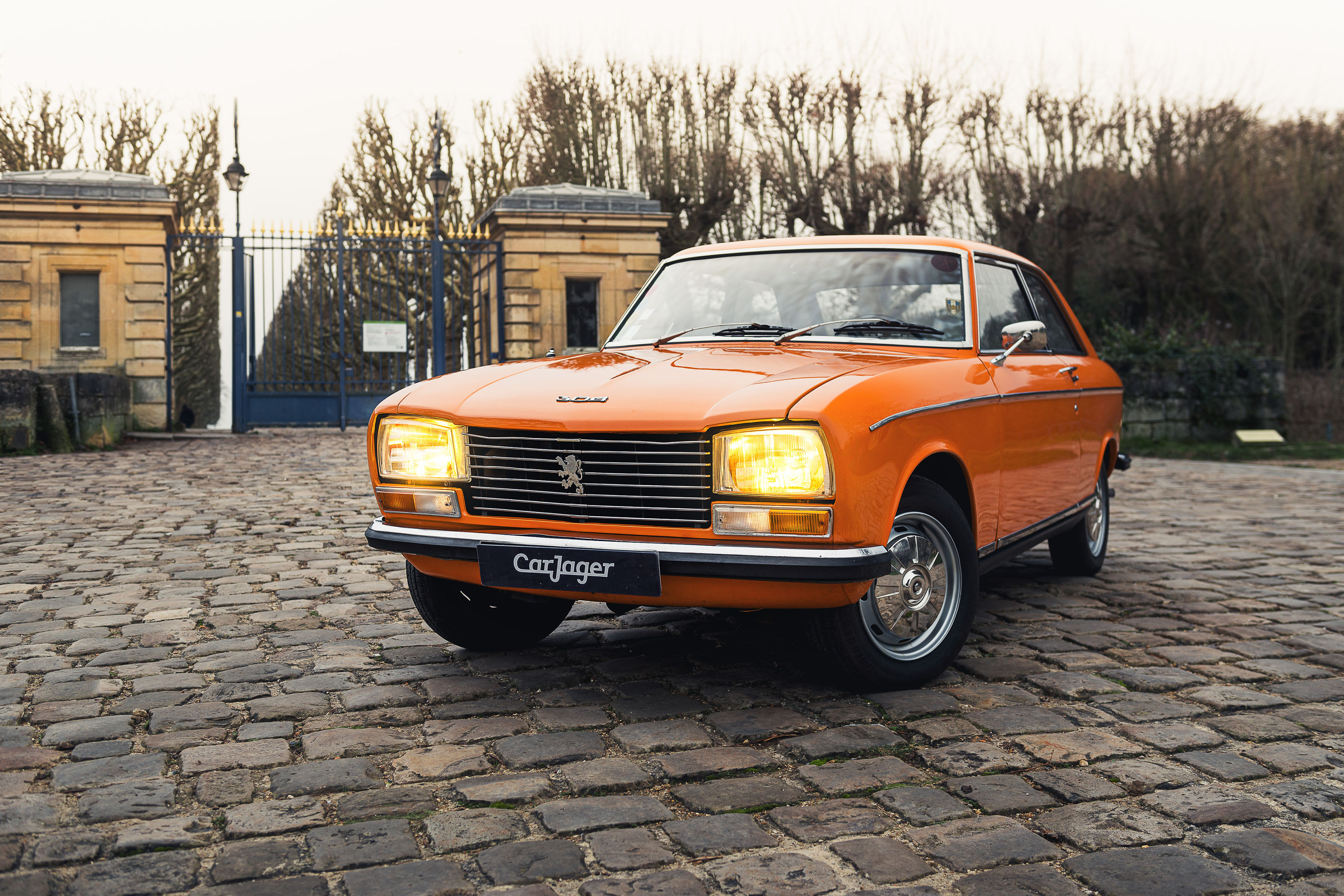 PEUGEOT 304 1970 used video (1)