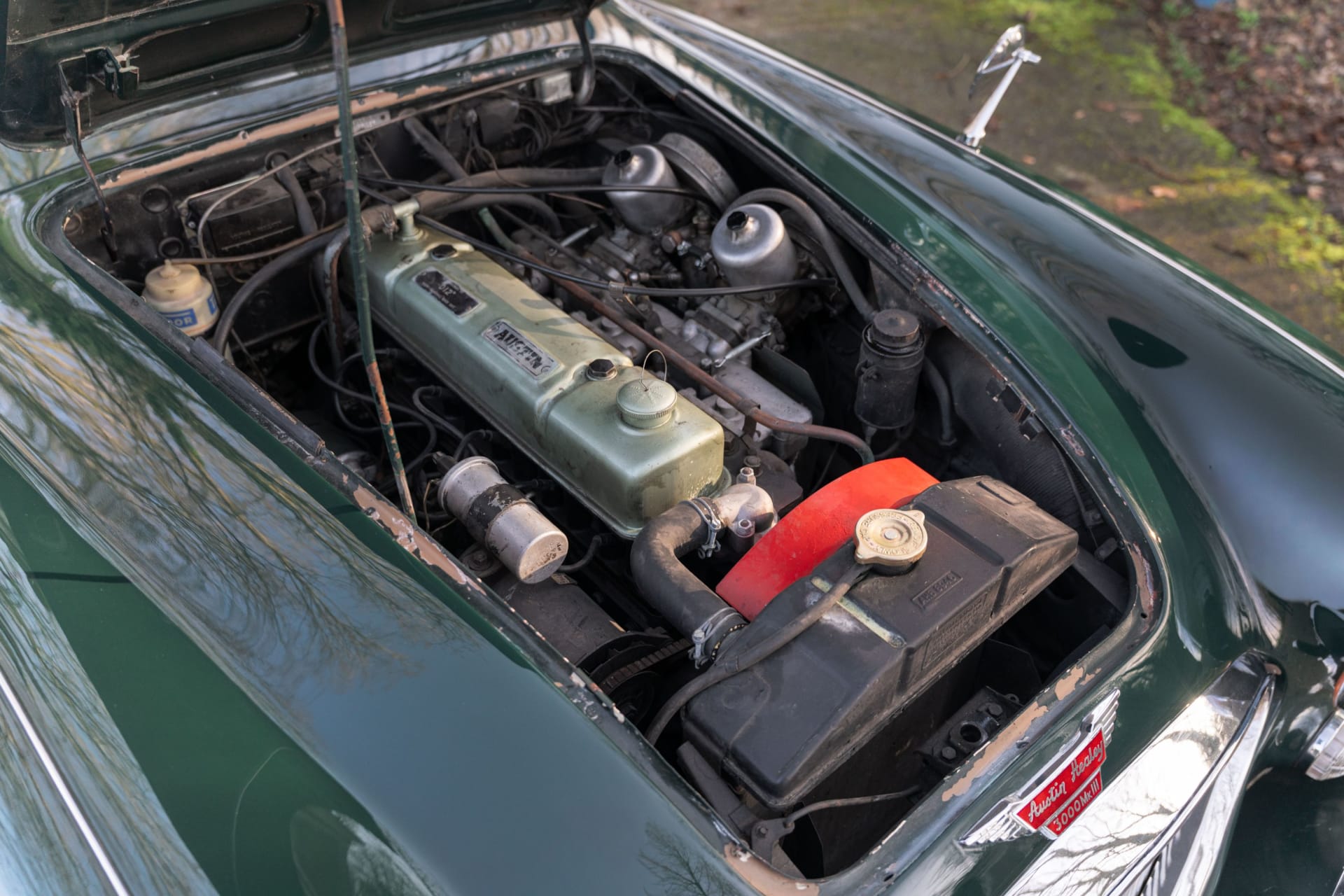 AUSTIN HEALEY 3000 Mark Iii Bj8 1965 occasion mécanique (1)