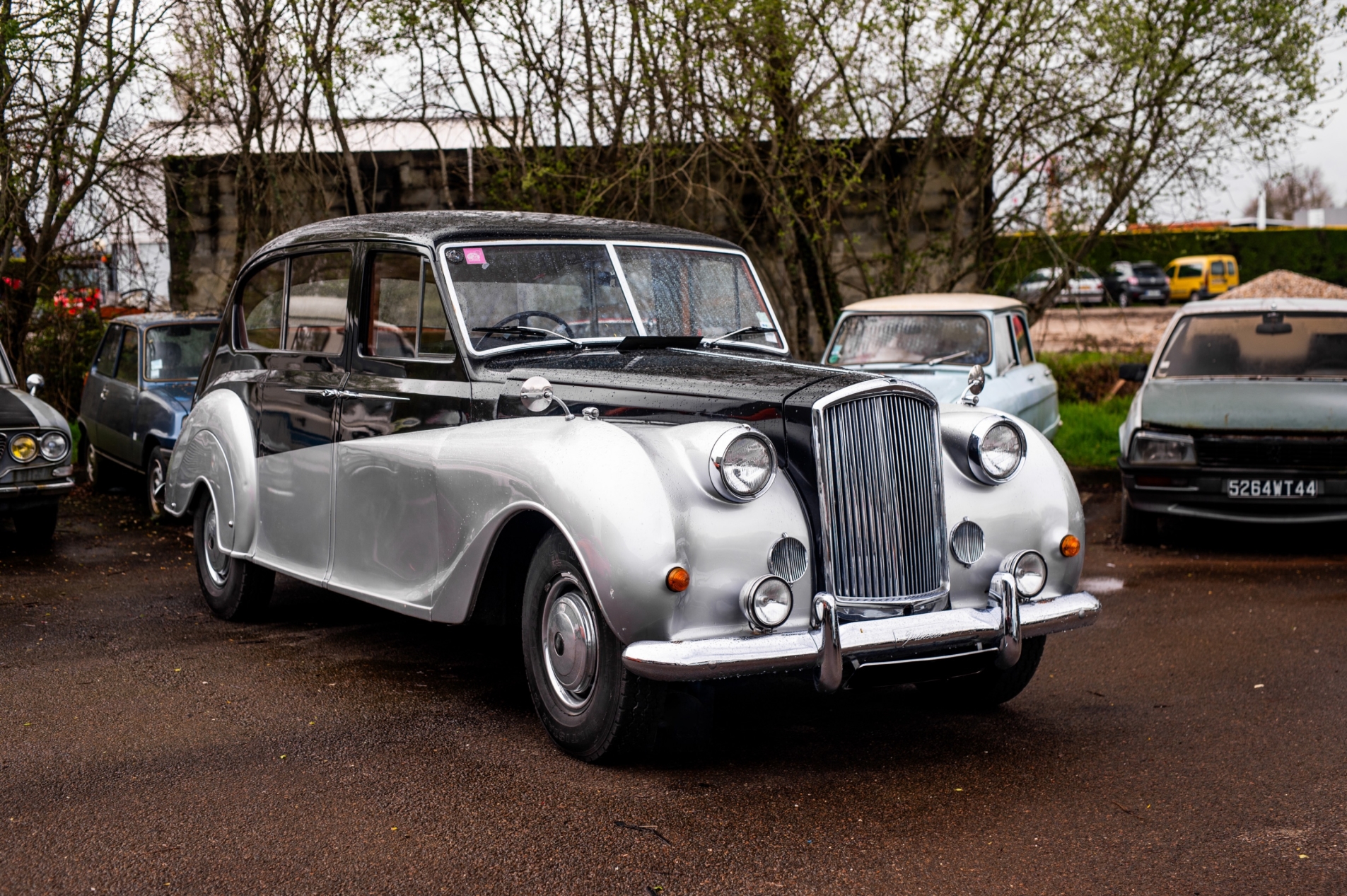 Photo AUSTIN Princess Vanden Plas 1966