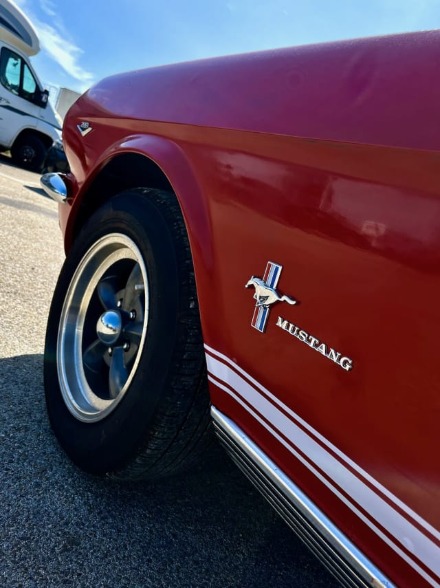 FORD Mustang 289ci 1965 occasion