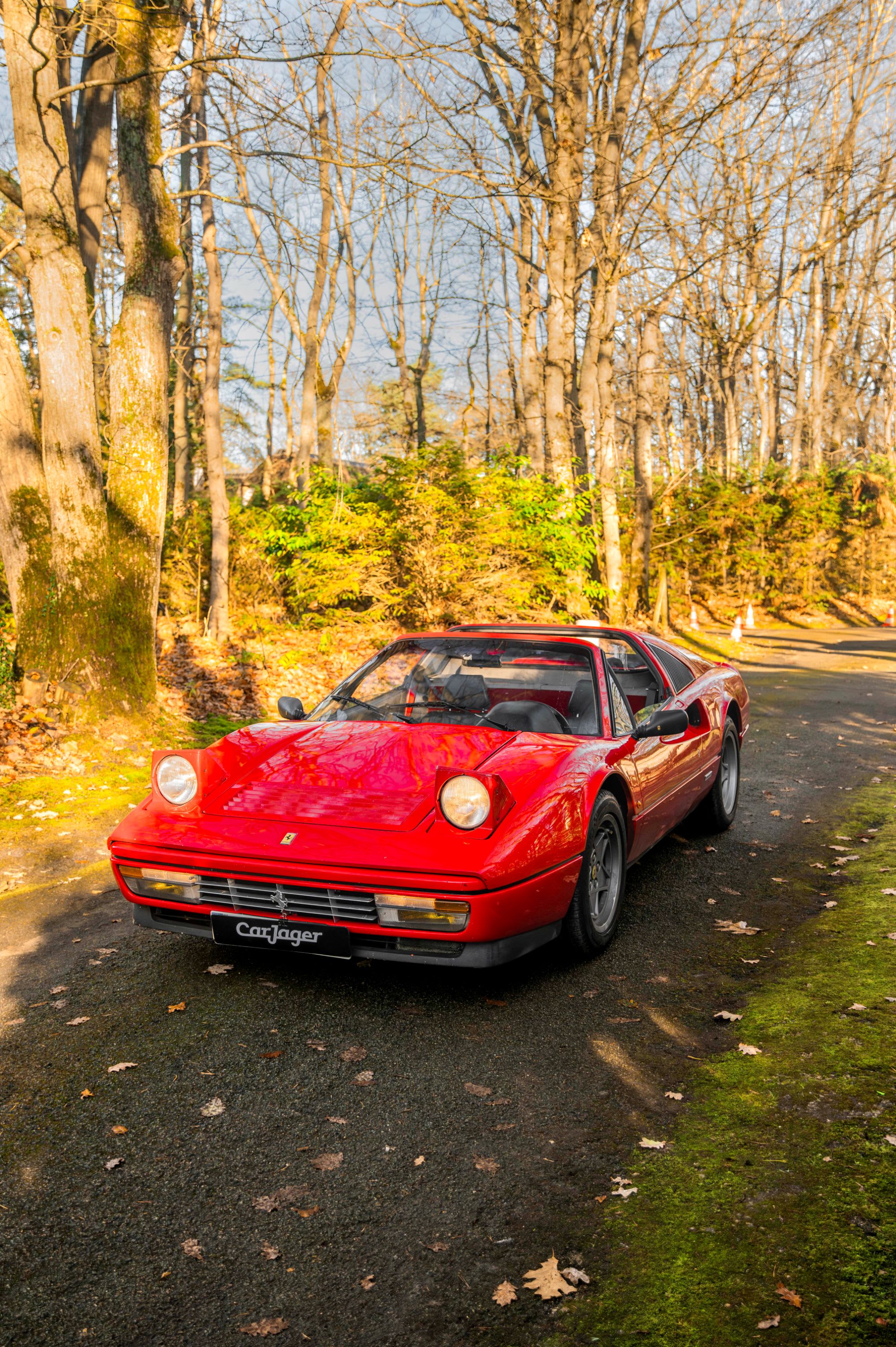 FERRARI 328 Gts 1986 used details (1)