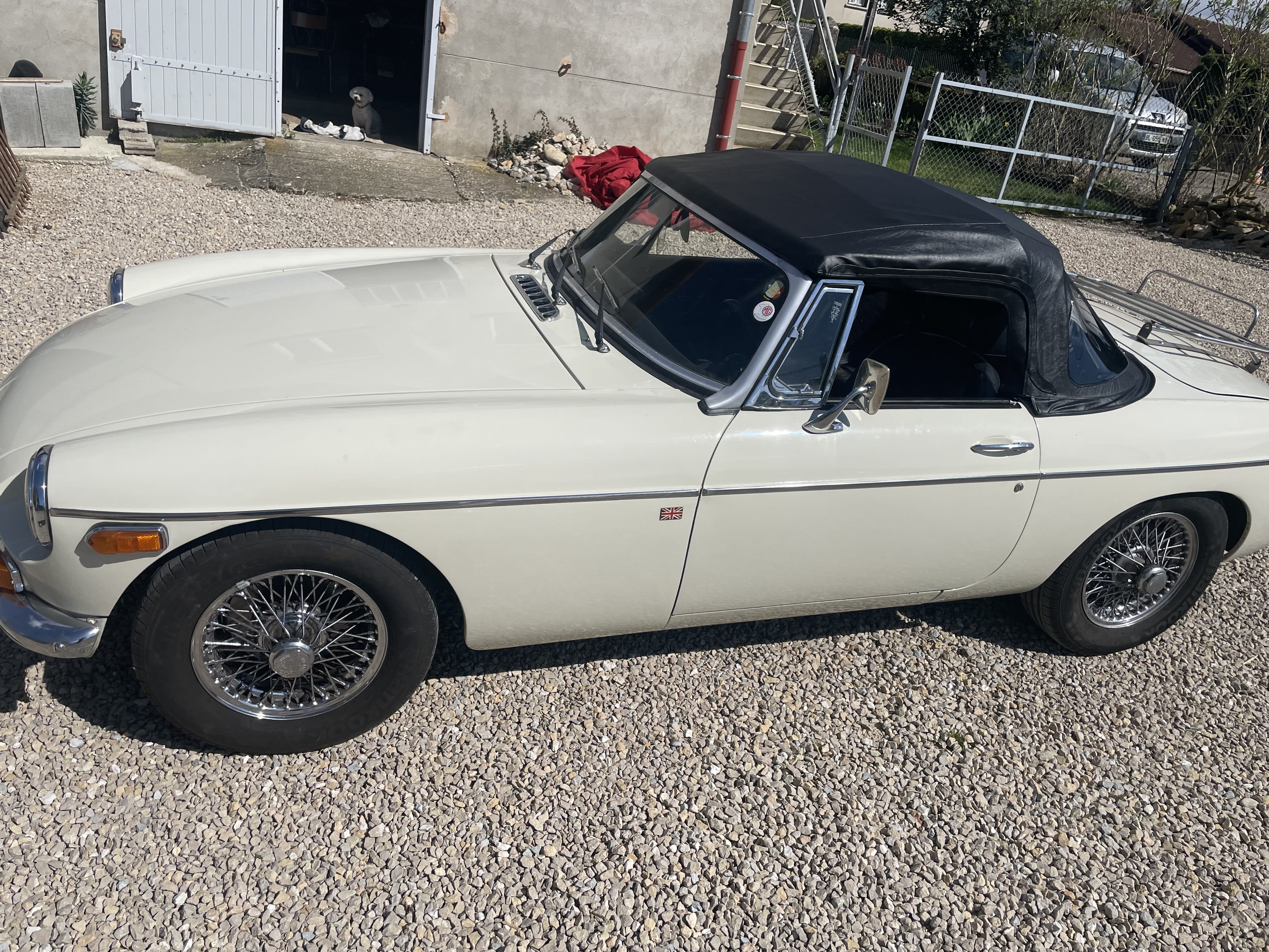 Mg B