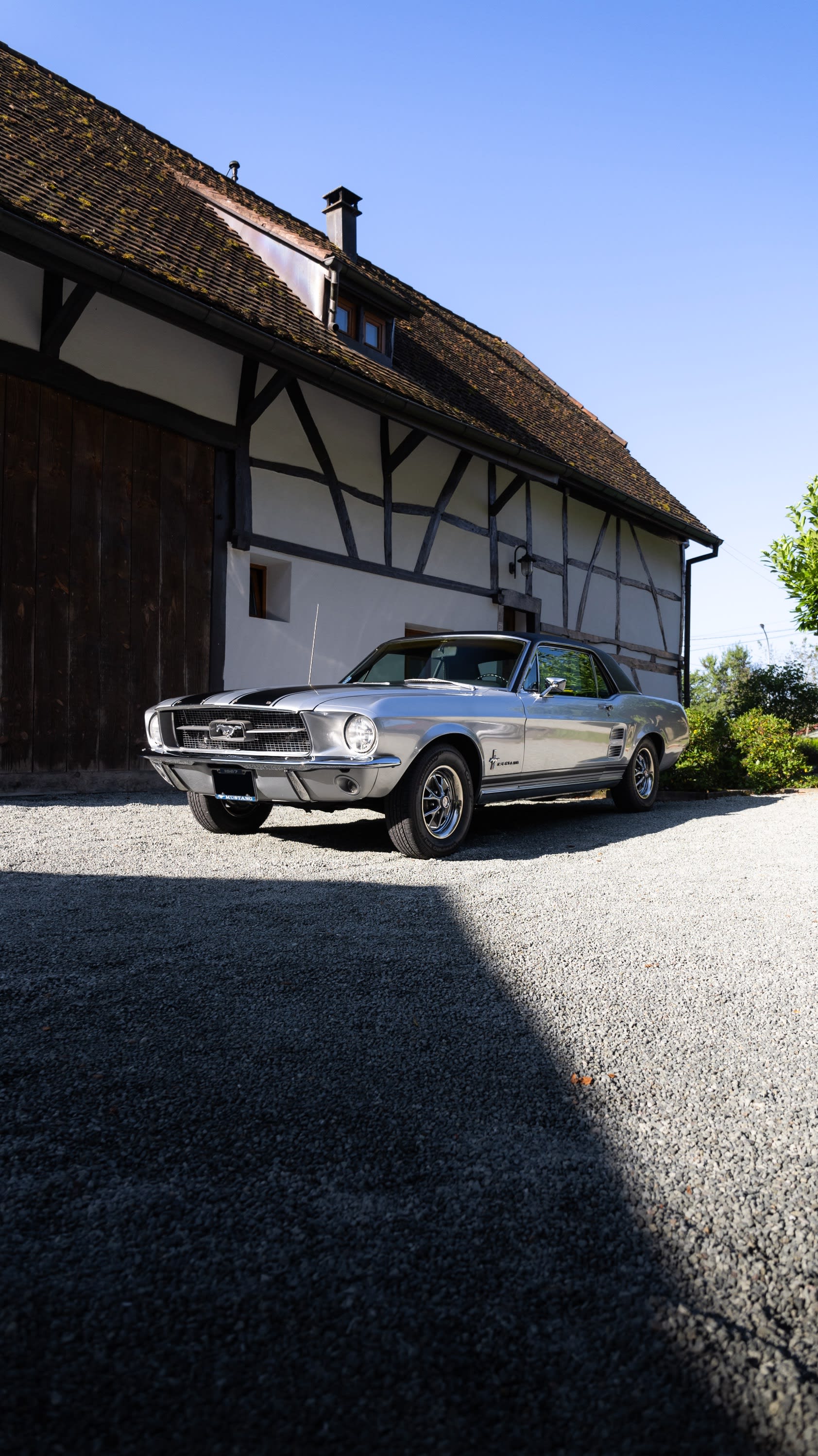 Ford Mustang  