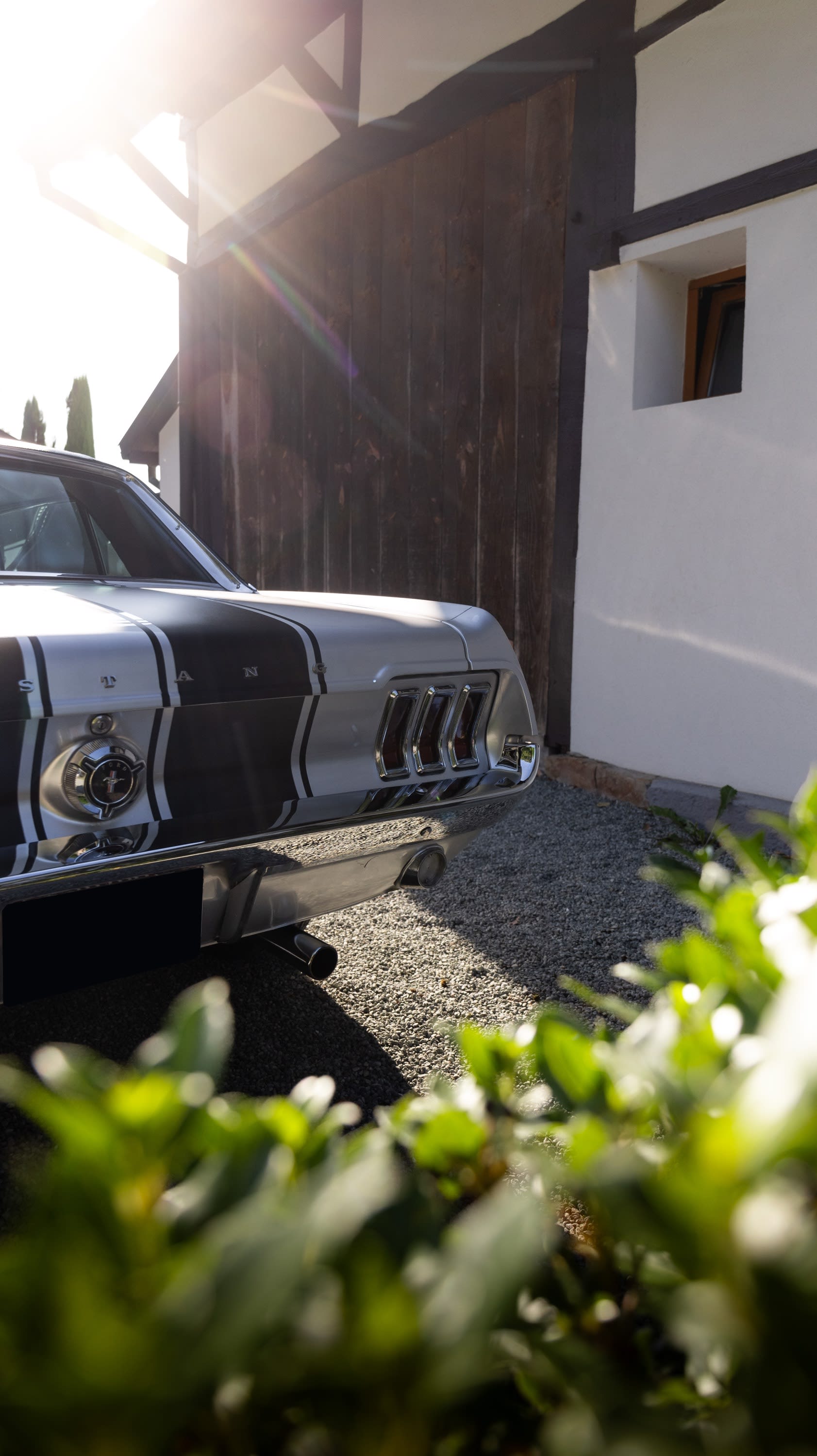 FORD Mustang   1967 occasion vidéo (1)