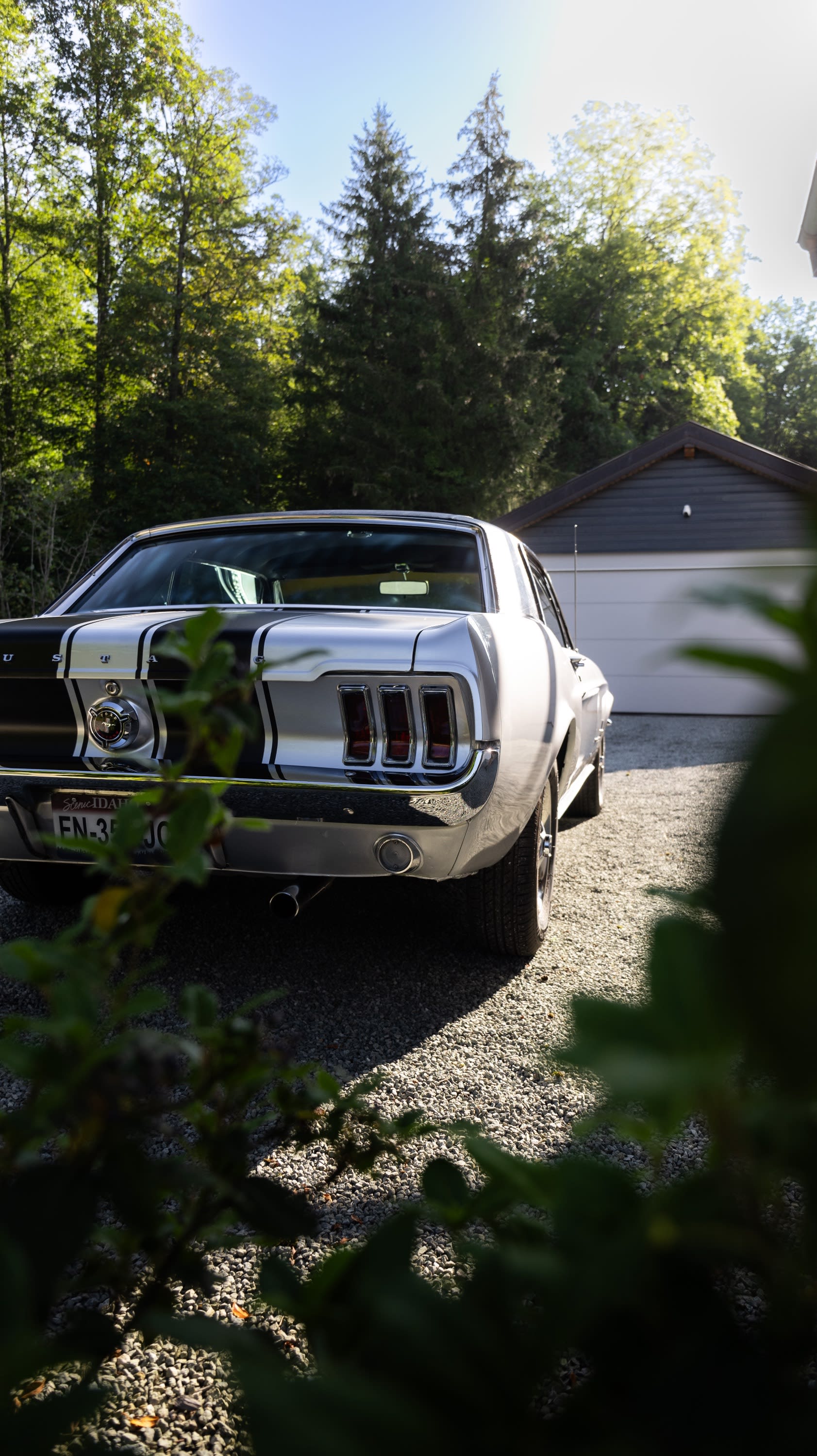 FORD Mustang   1967 occasion extérieur (2)