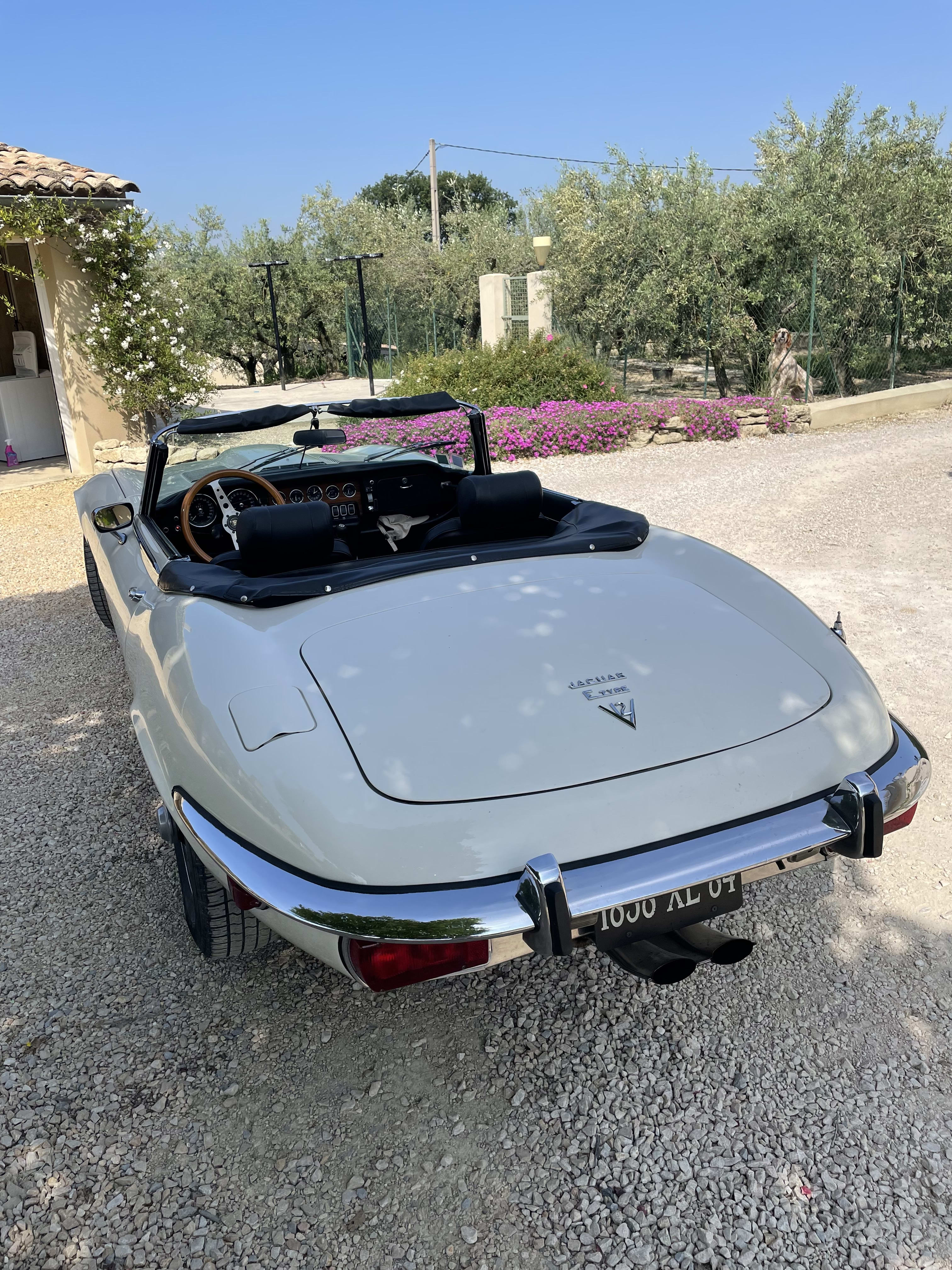 JAGUAR Type E Series 3 1974 occasion extérieur (2)