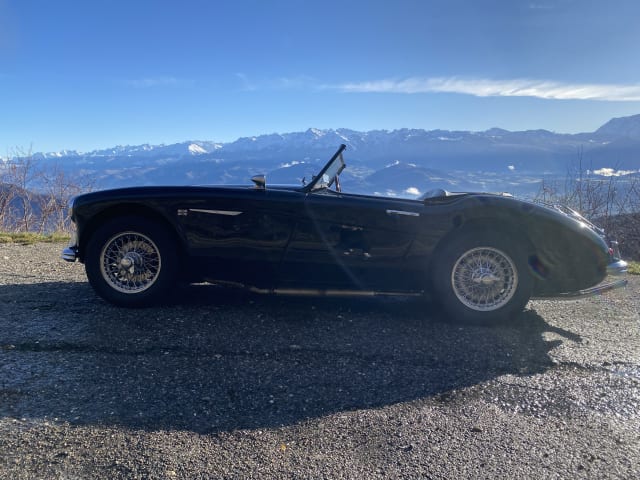 AUSTIN HEALEY 3000 Bt7 2+2 1960 occasion