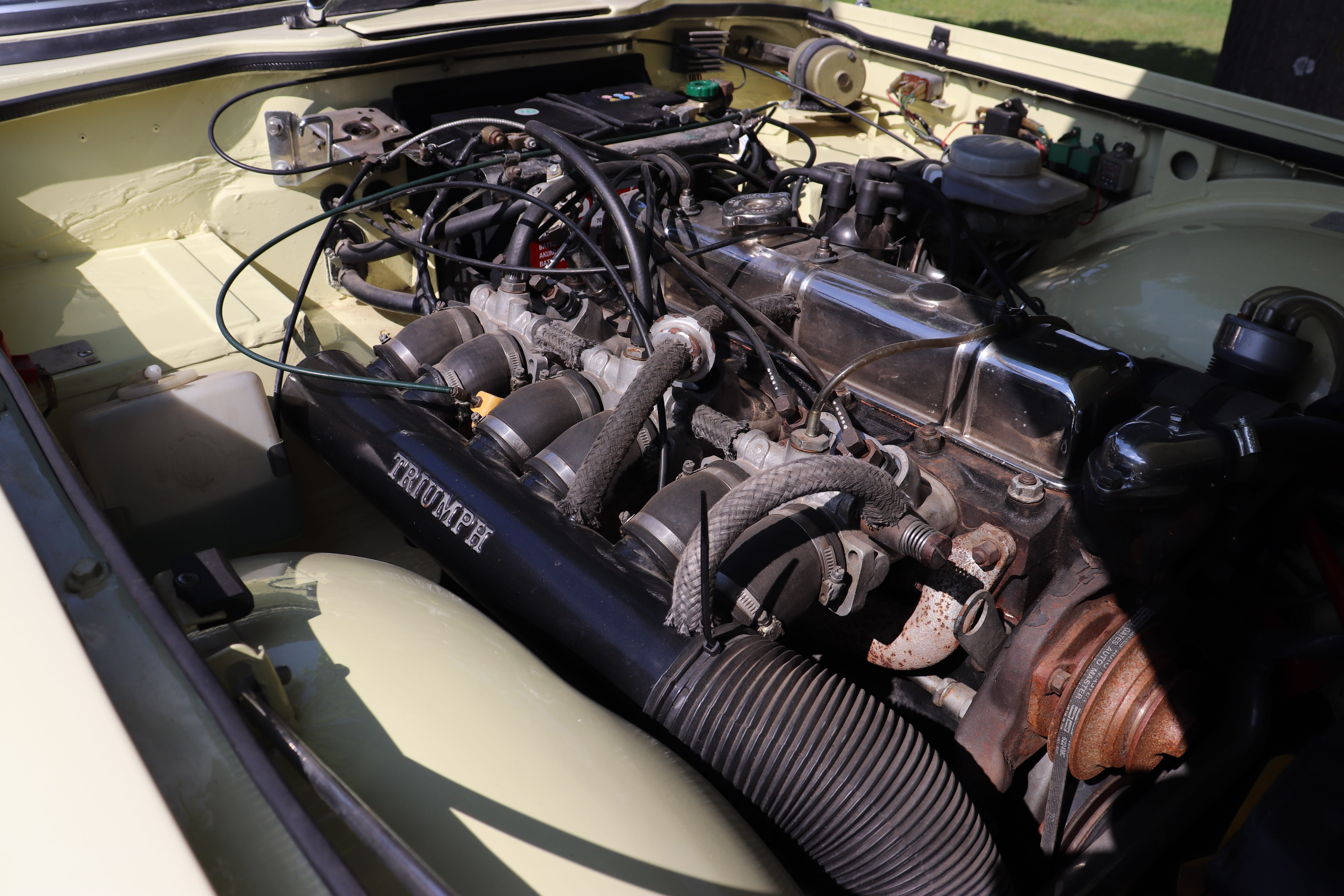 TRIUMPH Tr6   1969 occasion mécanique (1)