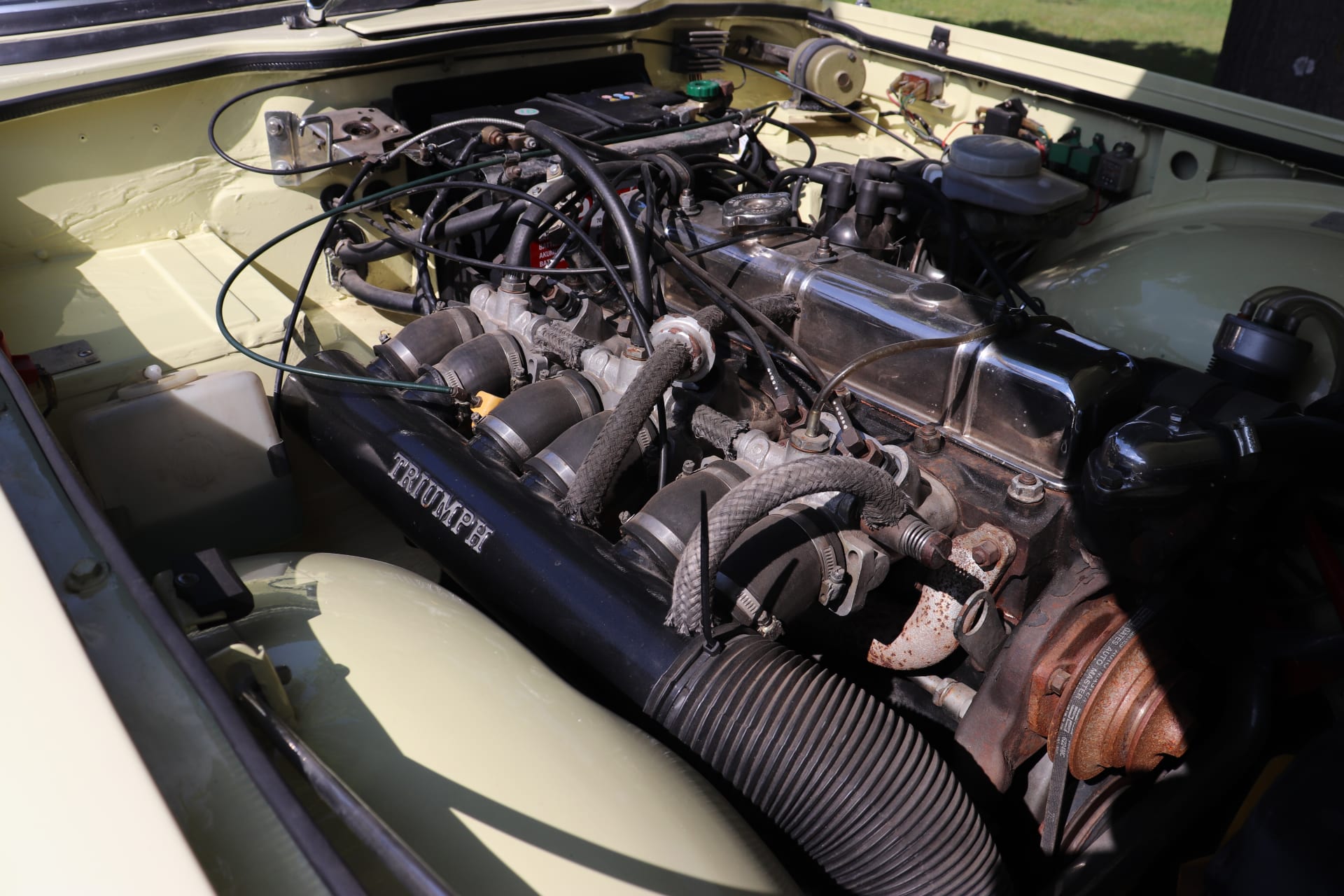 TRIUMPH Tr6   1969 used mechanical (1)