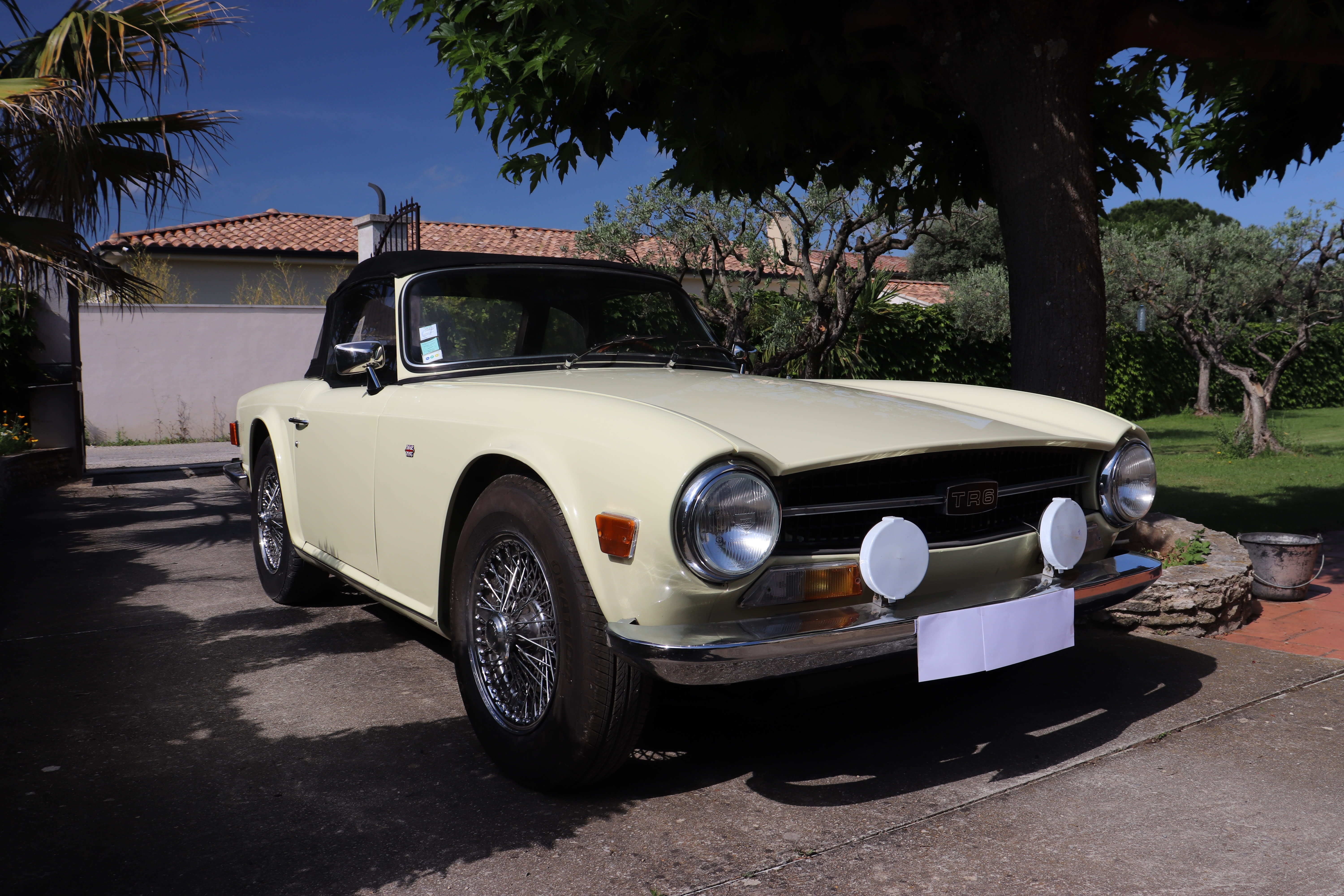 Triumph Tr6  