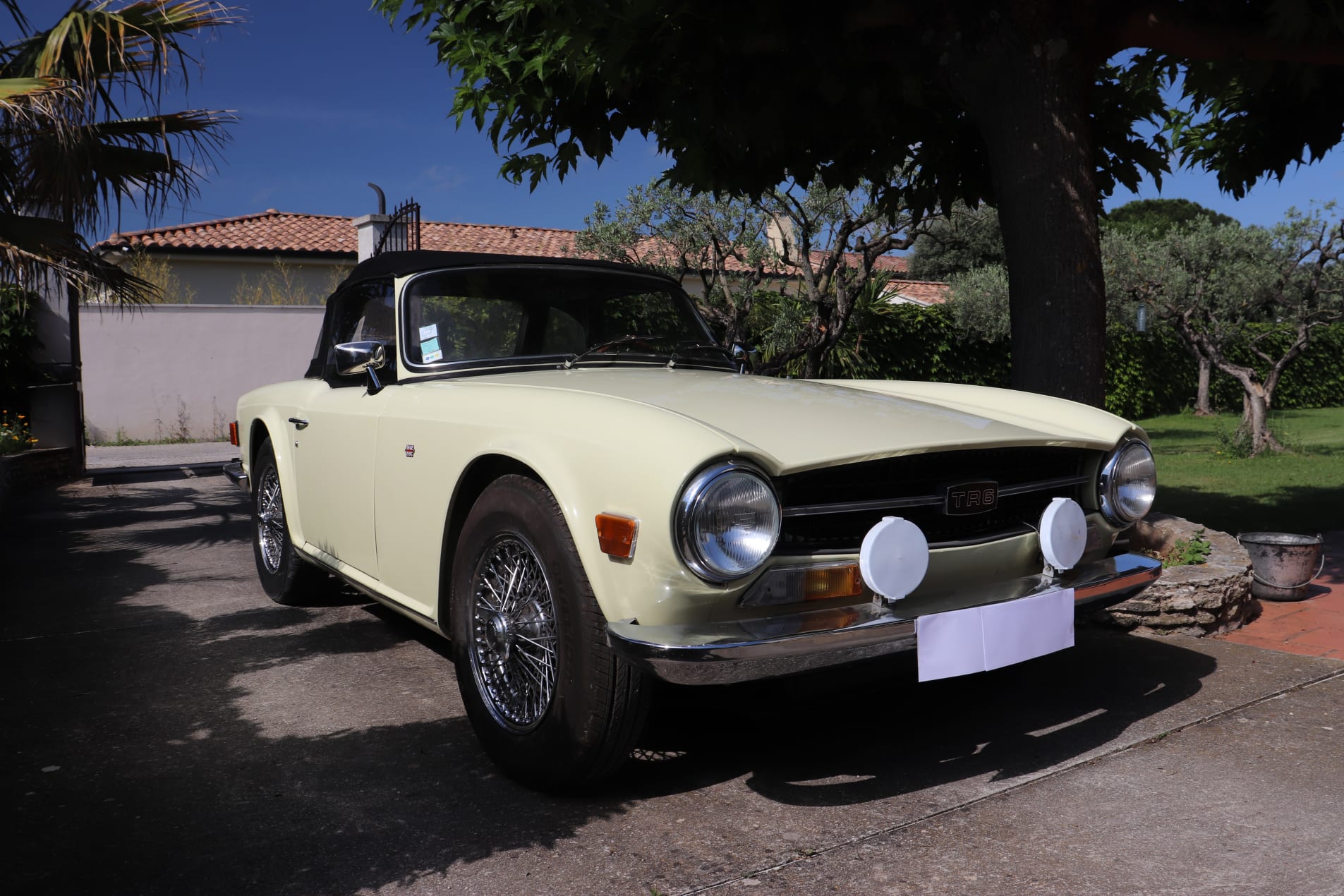 TRIUMPH Tr6 1969