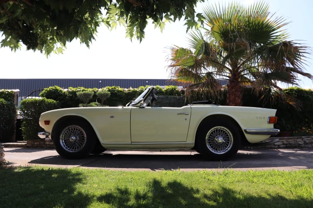 TRIUMPH Tr6   1969 used car