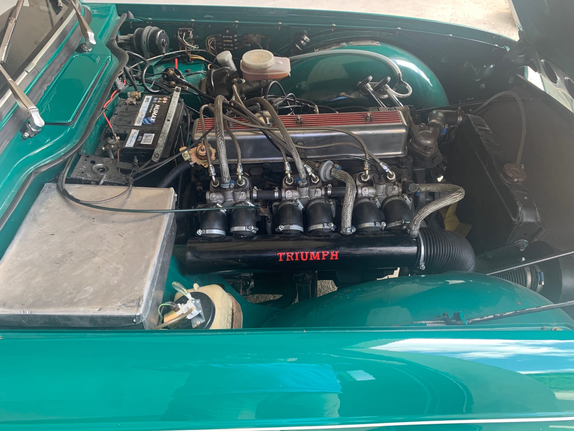 TRIUMPH Tr6 pi 1971