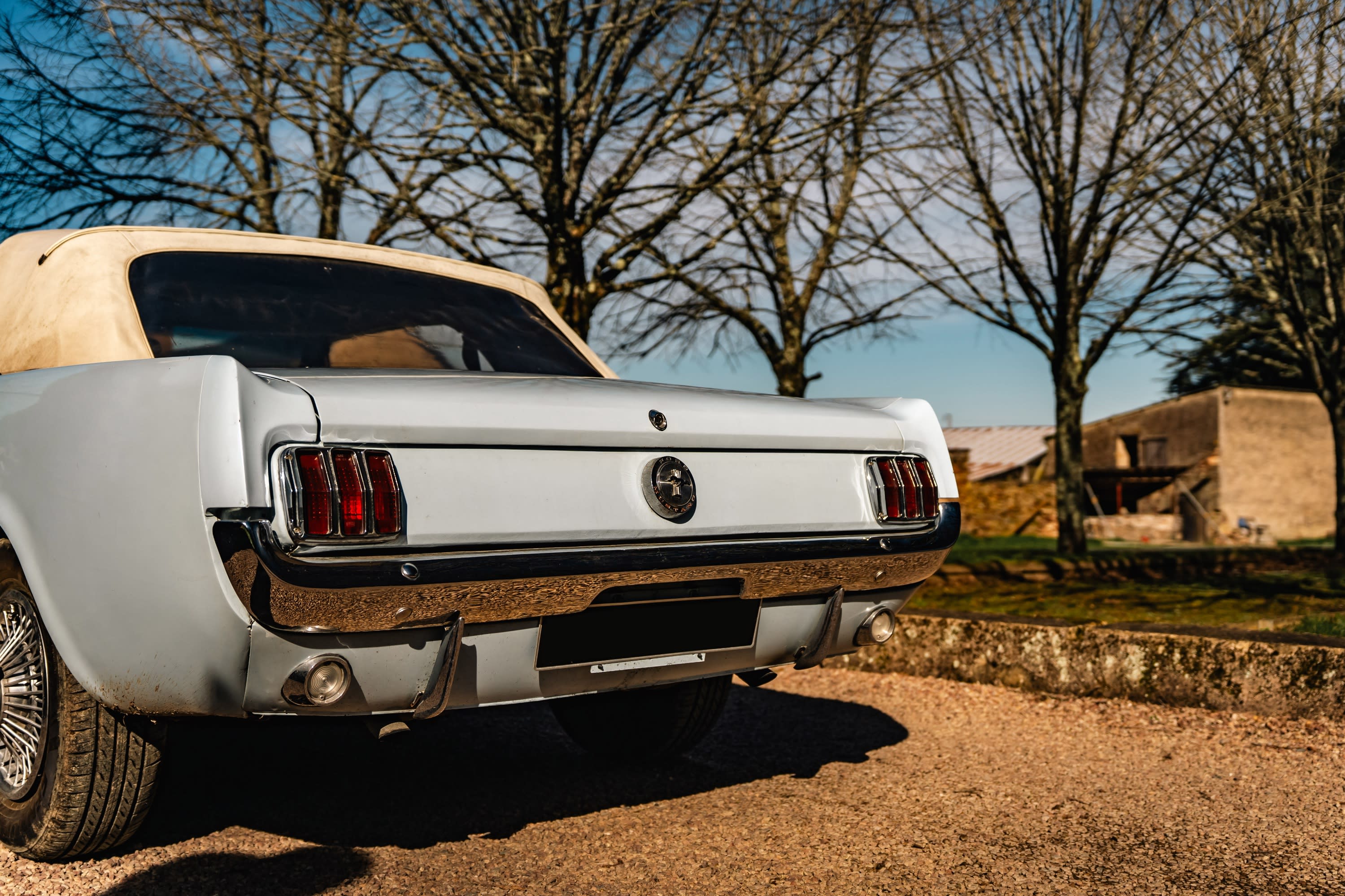 FORD Mustang V8 289 Ci 1966 occasion vidéo (1)