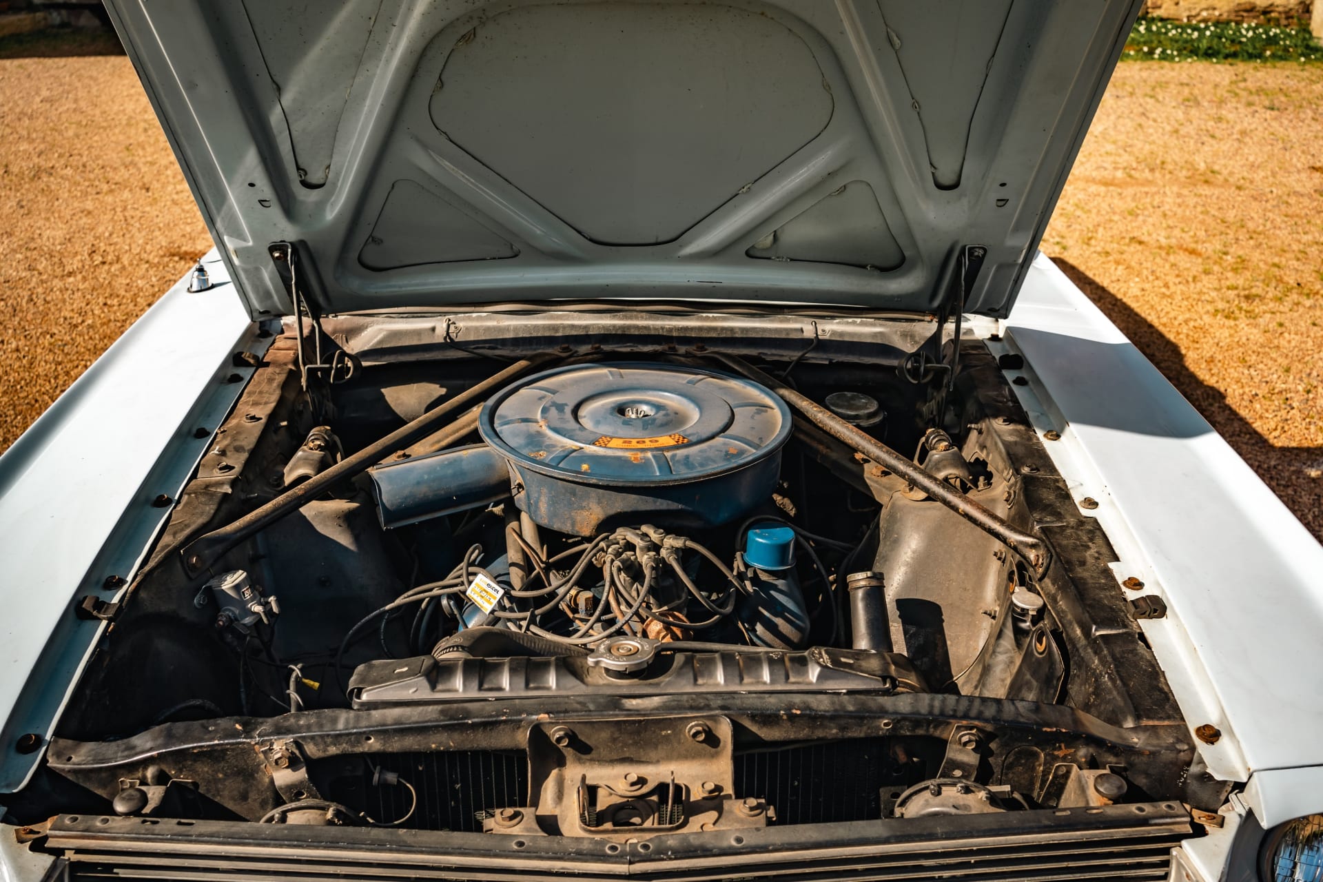 FORD Mustang V8 289 Ci 1966 occasion mécanique (1)