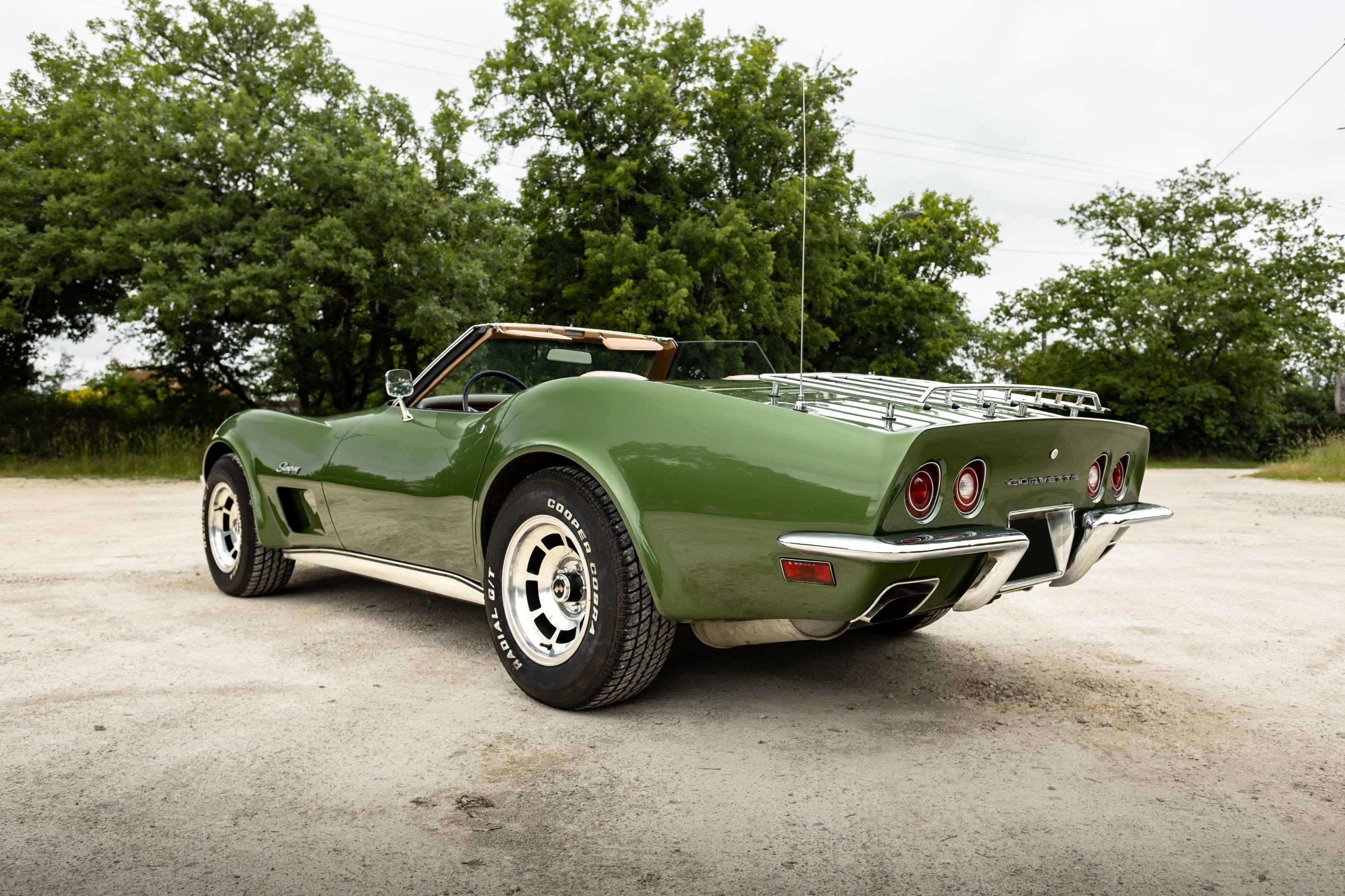 CHEVROLET Corvette C3 Stingray 1973 occasion extérieur (2)