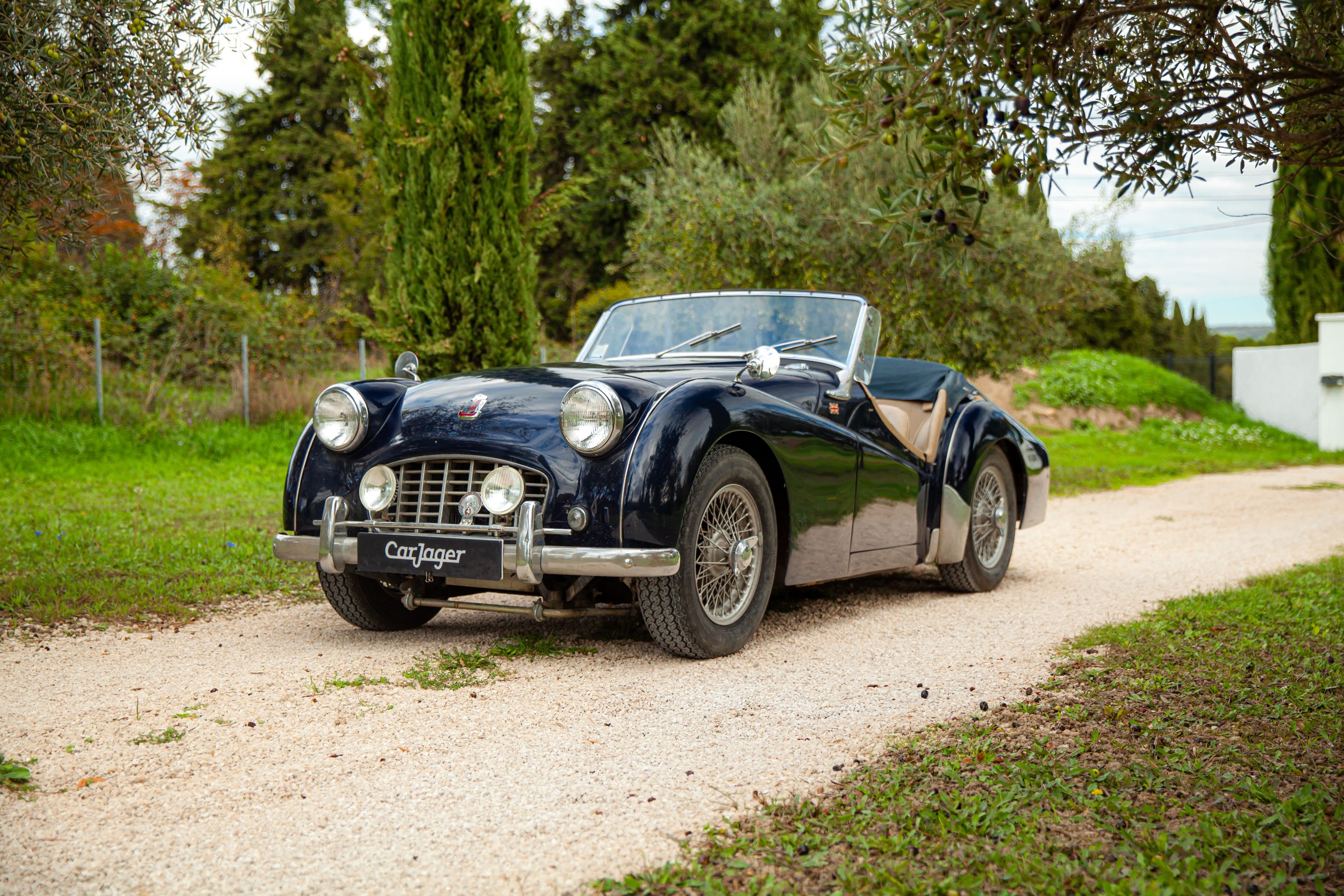 Triumph Tr3 Petite Bouche