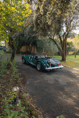 MORGAN Plus 8 1982 occasion