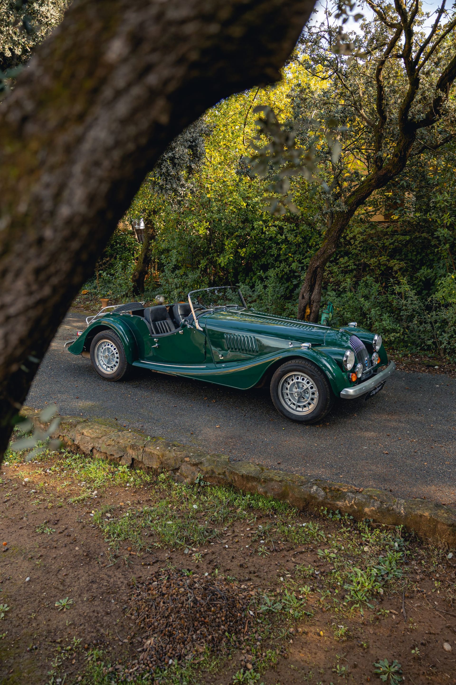 MORGAN Plus 8 1982 occasion détails (1)