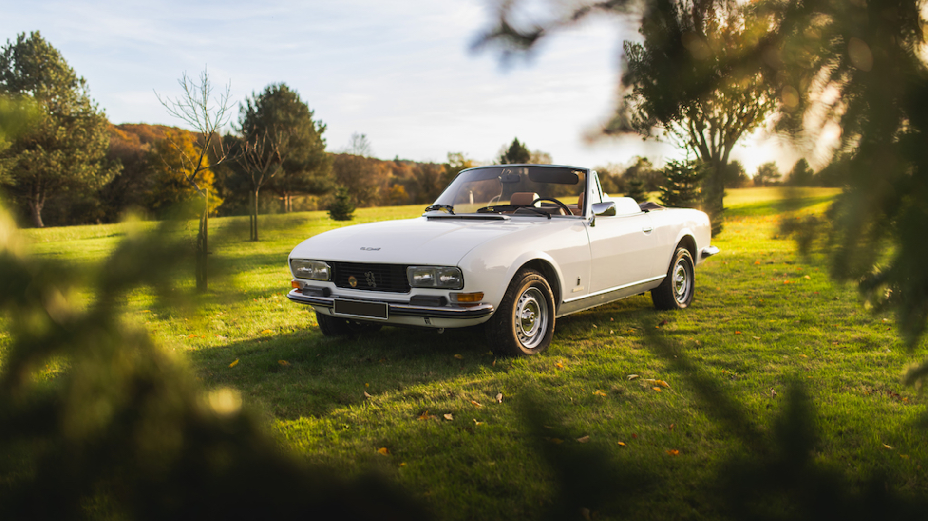 Photo PEUGEOT 504 Série II 1979