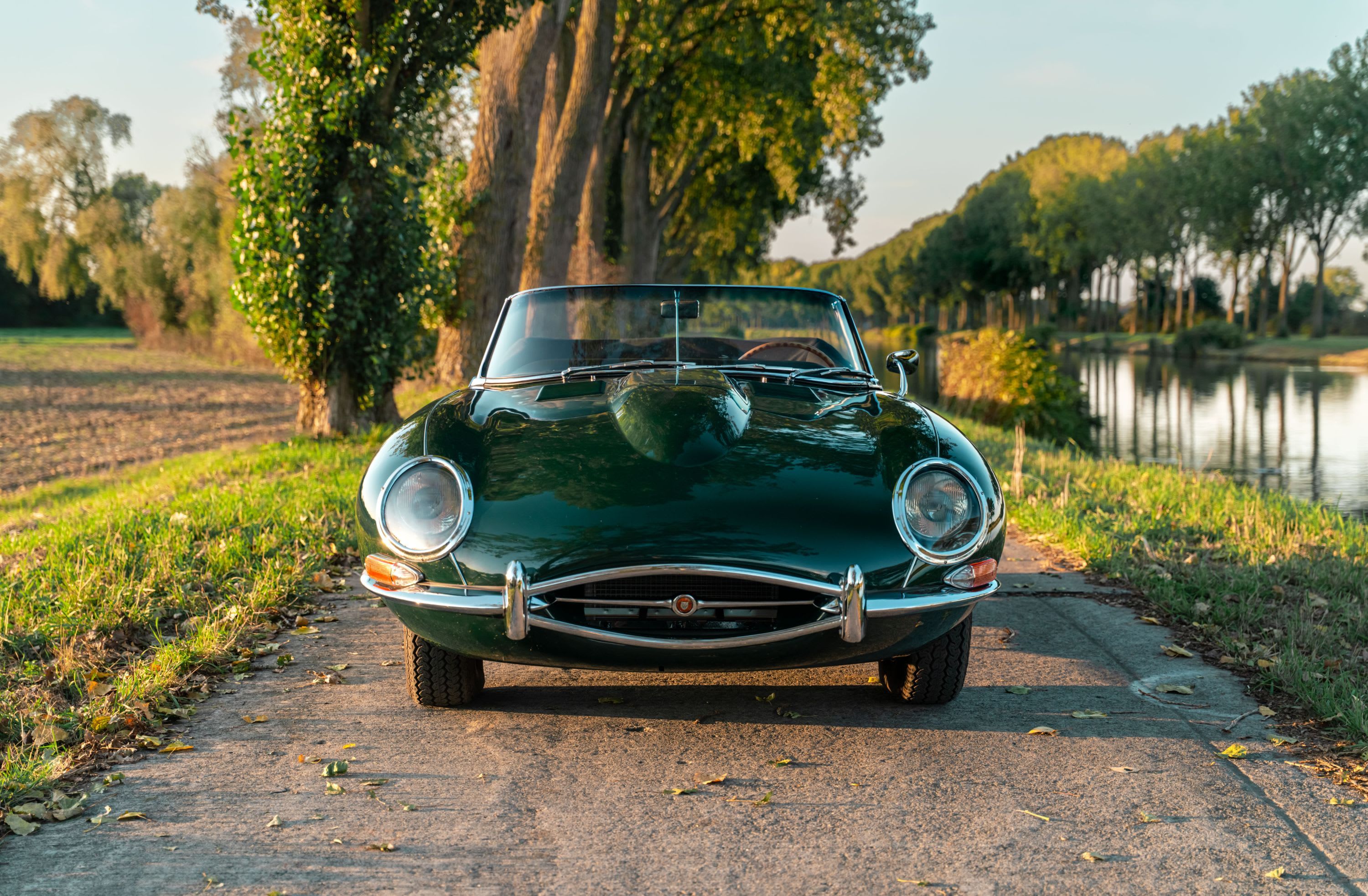 Jaguar Type E Series 1