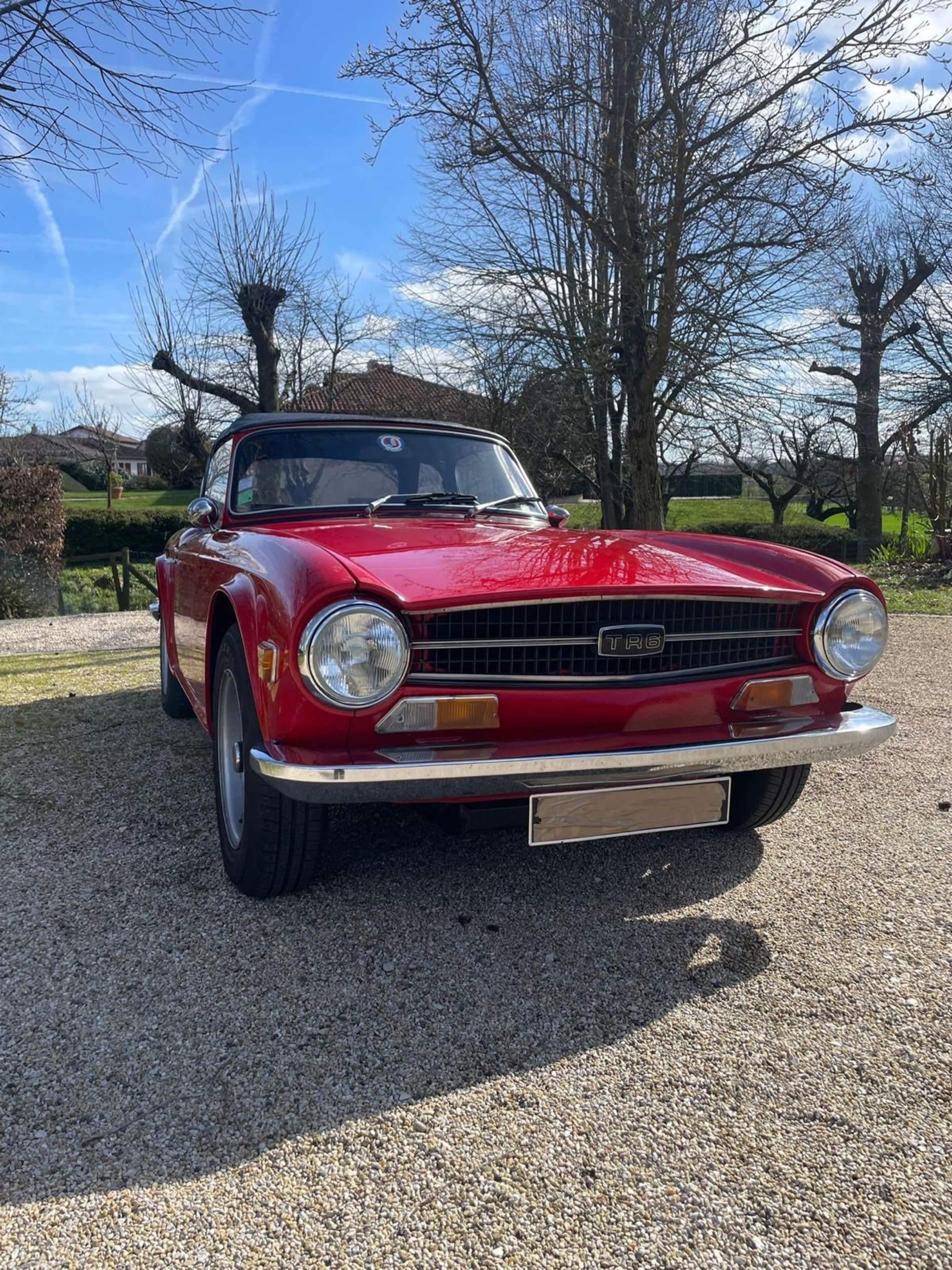 TRIUMPH Tr6 pi 1973