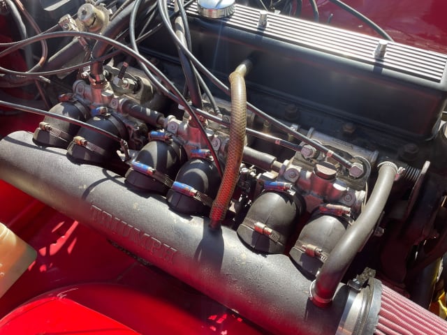 TRIUMPH Tr6 Pi 1973 occasion