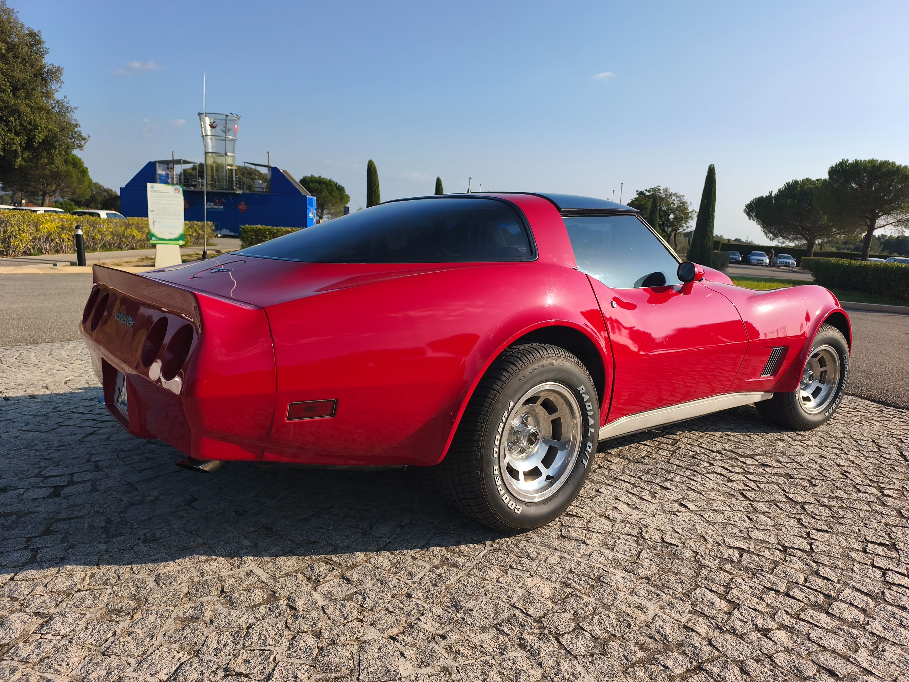 CHEVROLET Corvette  C3 T-top  1980 occasion extérieur (2)