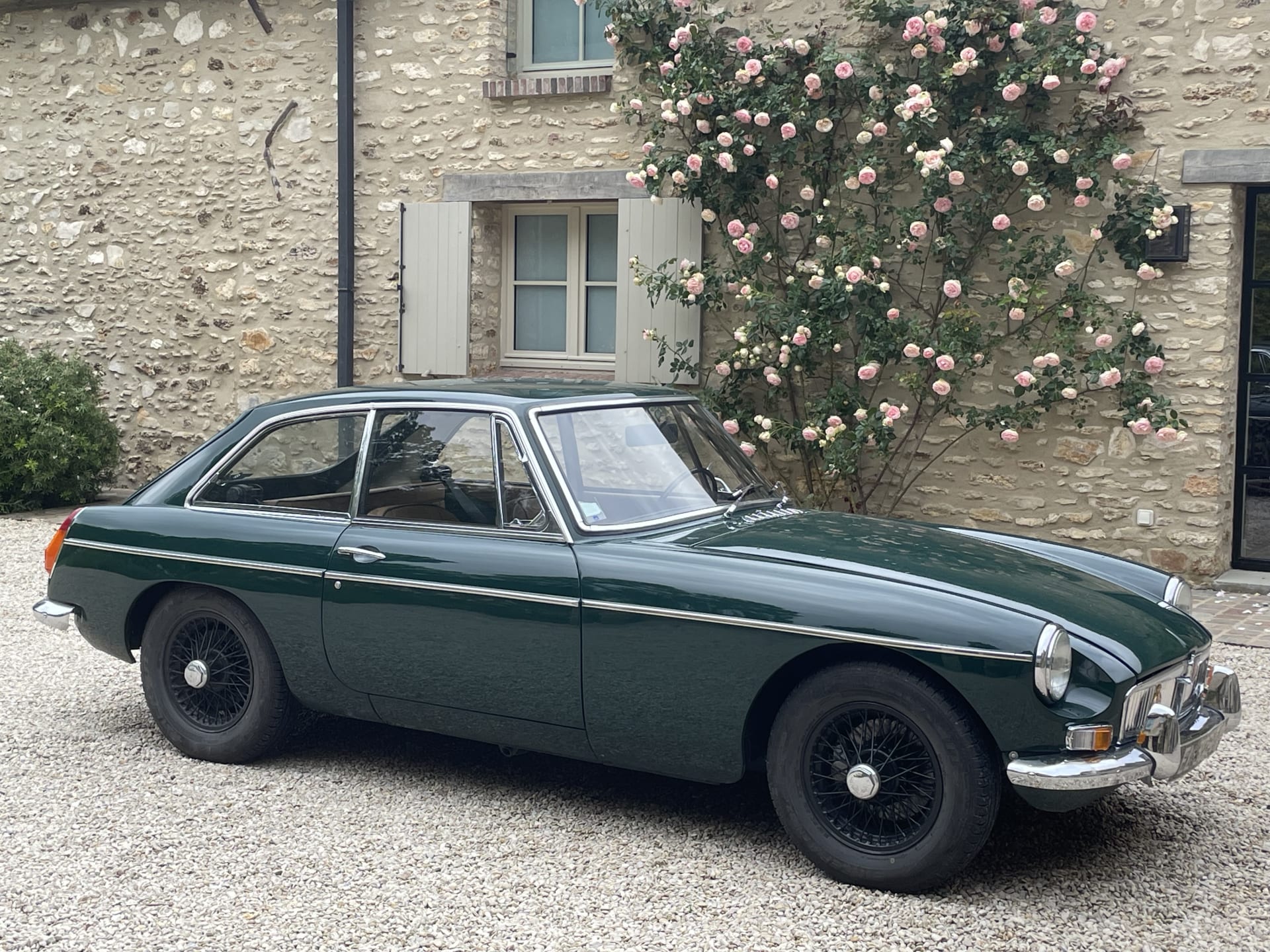 Mg B Gt
