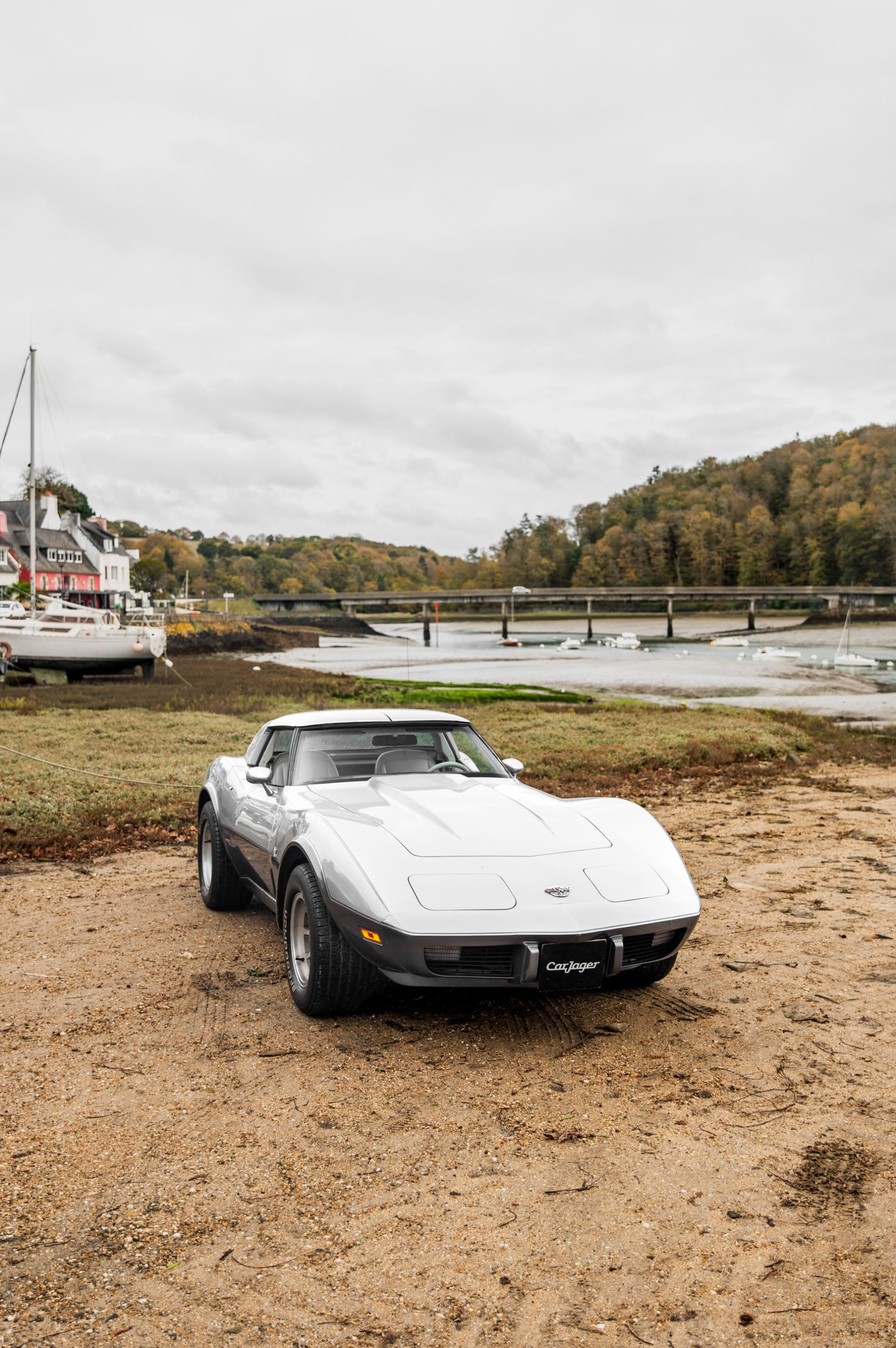 CHEVROLET Corvette C3 Anniversary 1978 occasion détails (1)