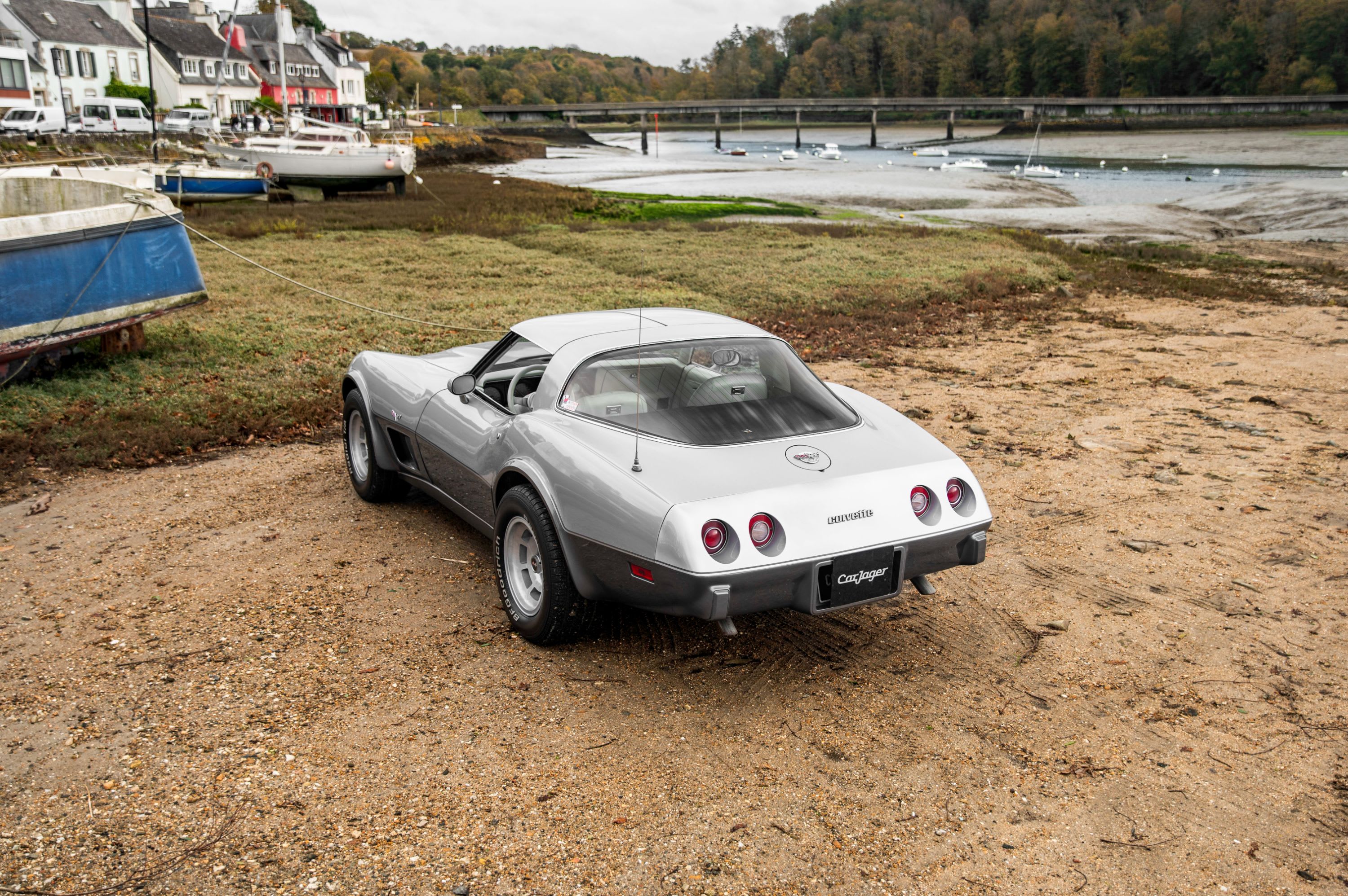 CHEVROLET Corvette C3 Anniversary 1978 occasion extérieur (2)