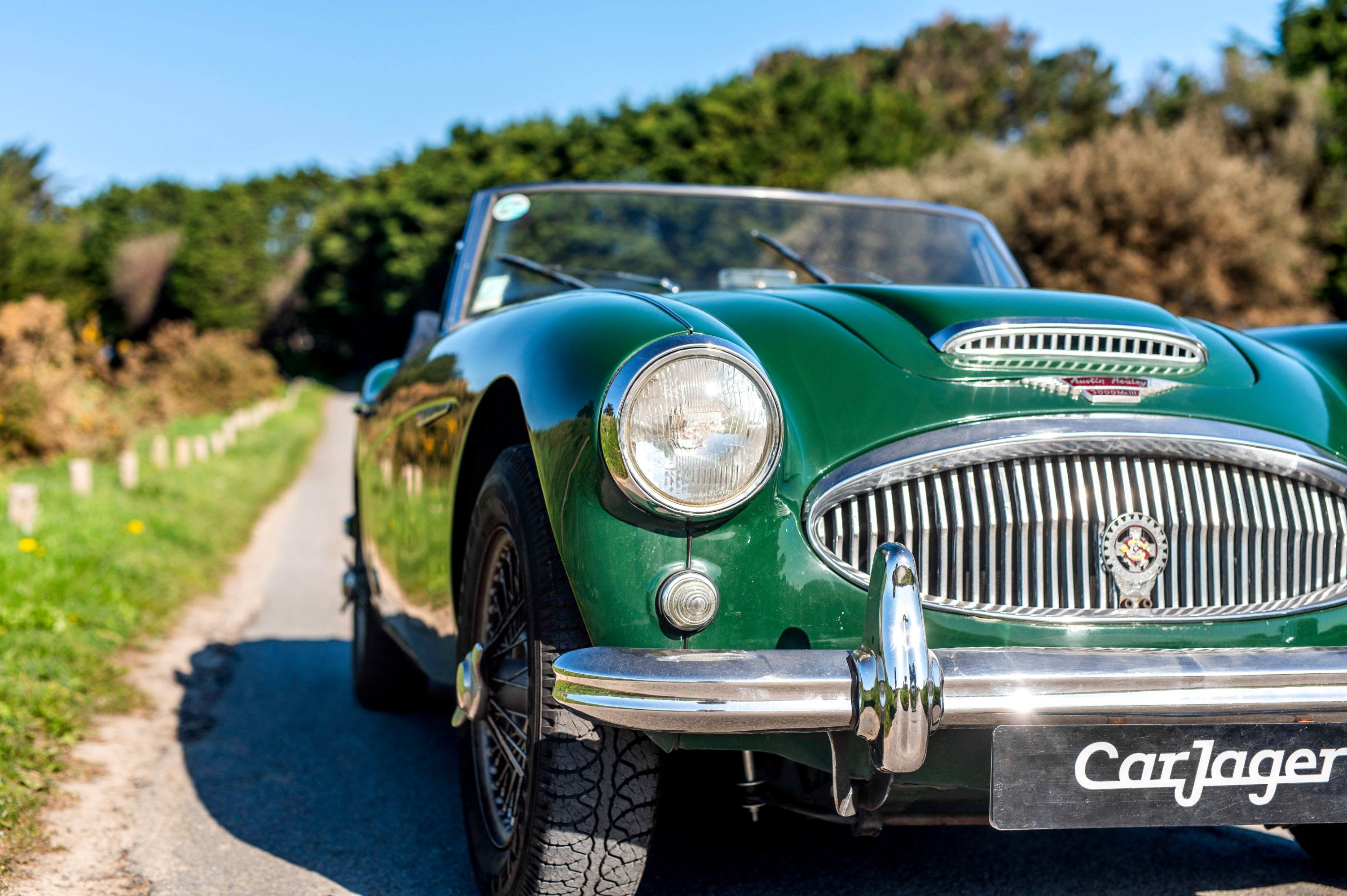 AUSTIN HEALEY 3000 Mark Iii   1965 used details (1)