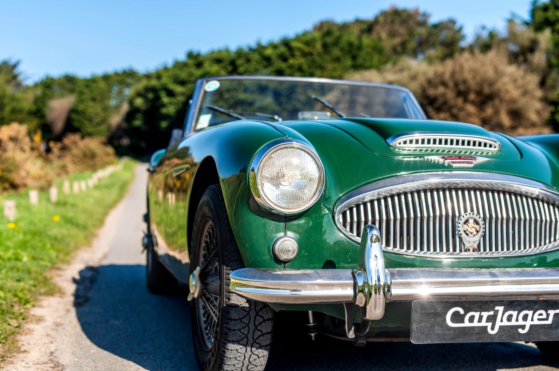 AUSTIN HEALEY 3000 Mark Iii   1965 used details (1)