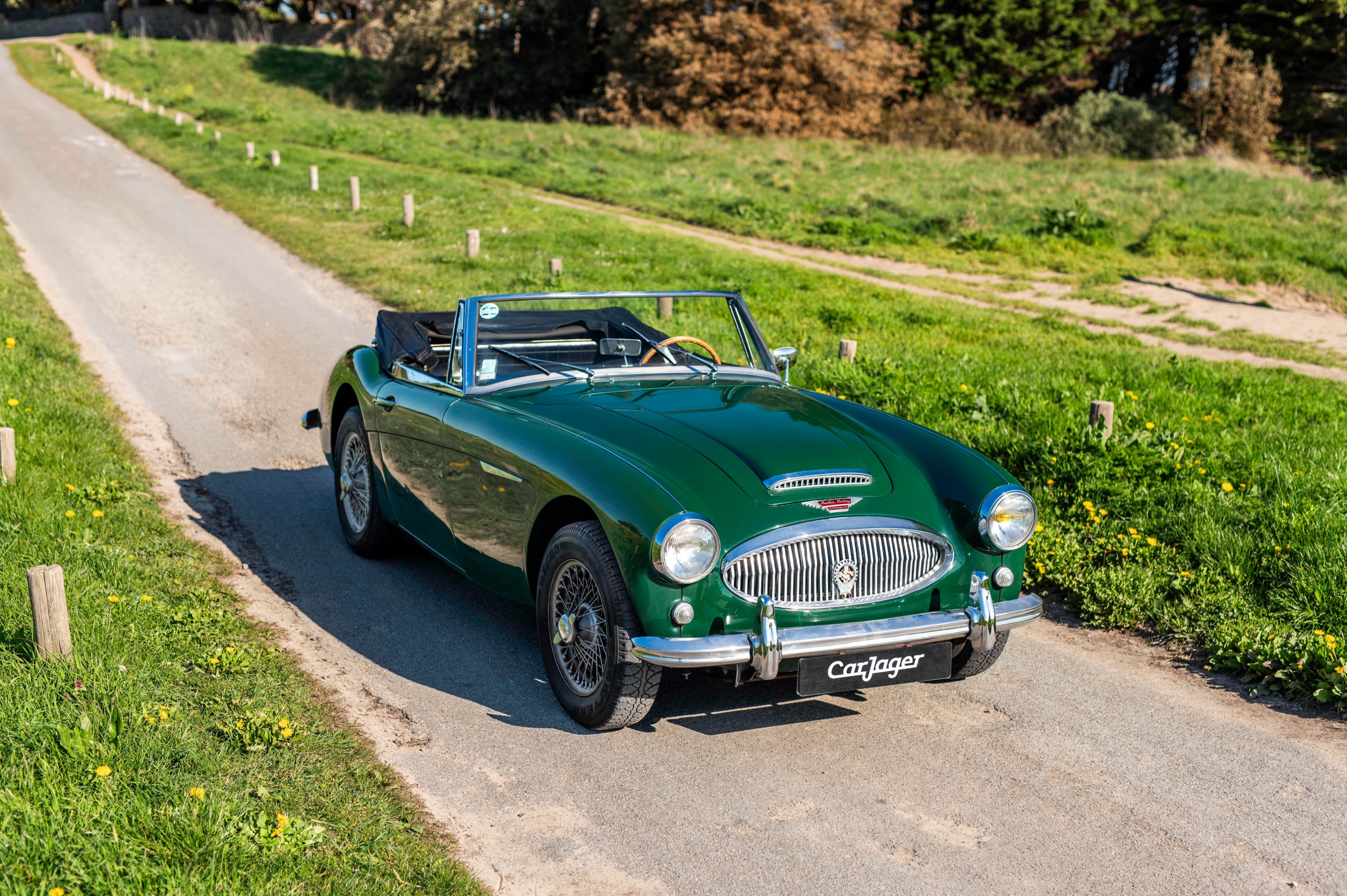 AUSTIN HEALEY 3000 Mark Iii   1965 used video (1)