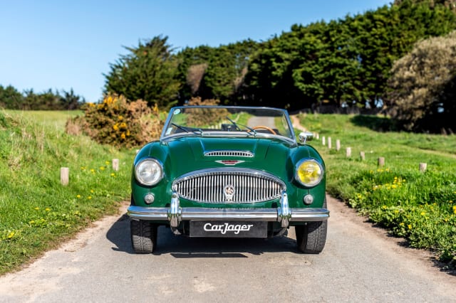AUSTIN HEALEY 3000 Mark Iii   1965 used
