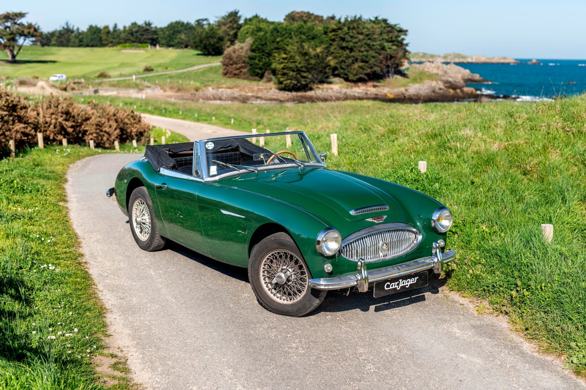 Austin-healey 3000 Mark Iii  