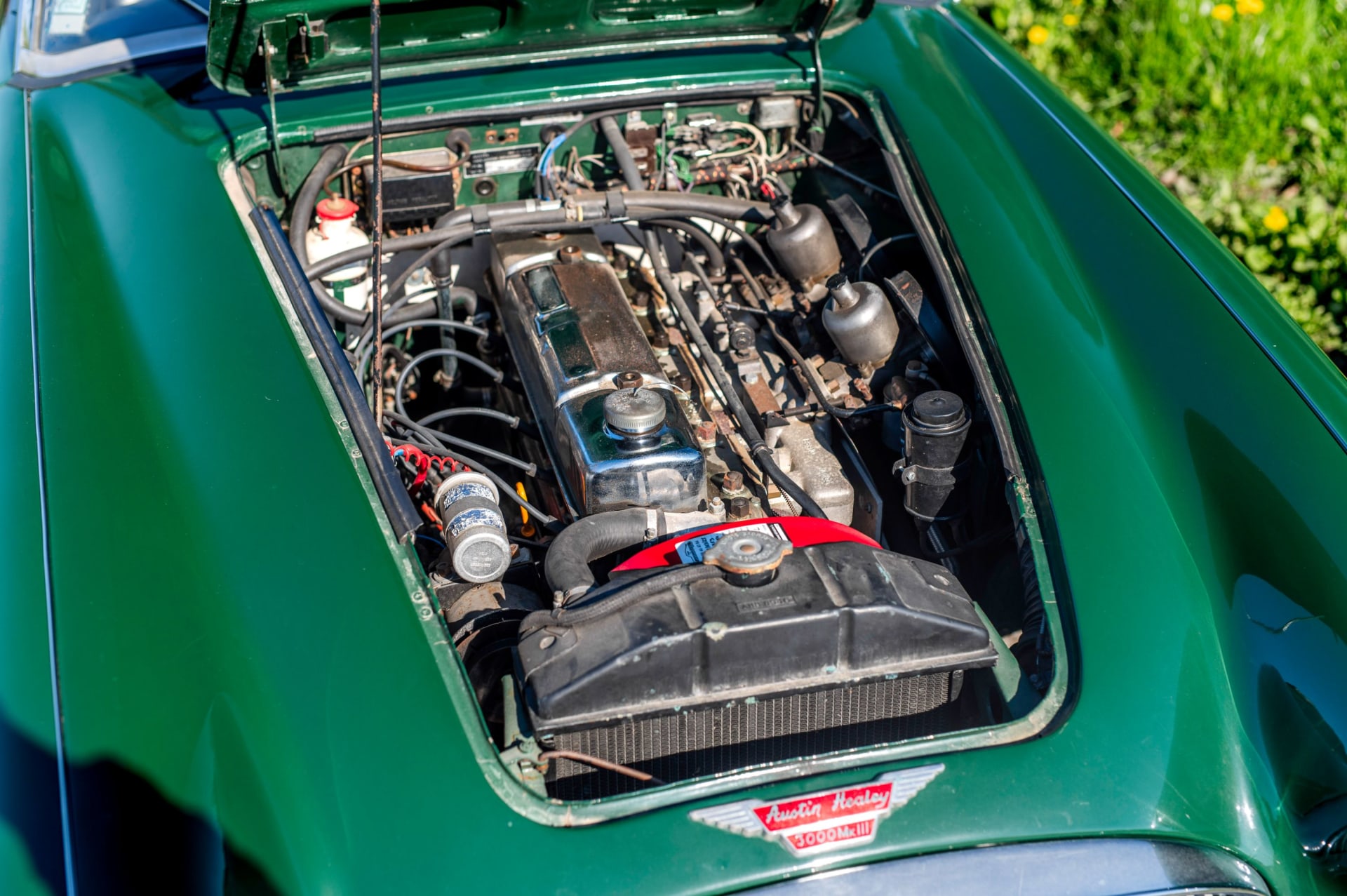 AUSTIN HEALEY 3000 Mark Iii   1965 used mechanical (1)