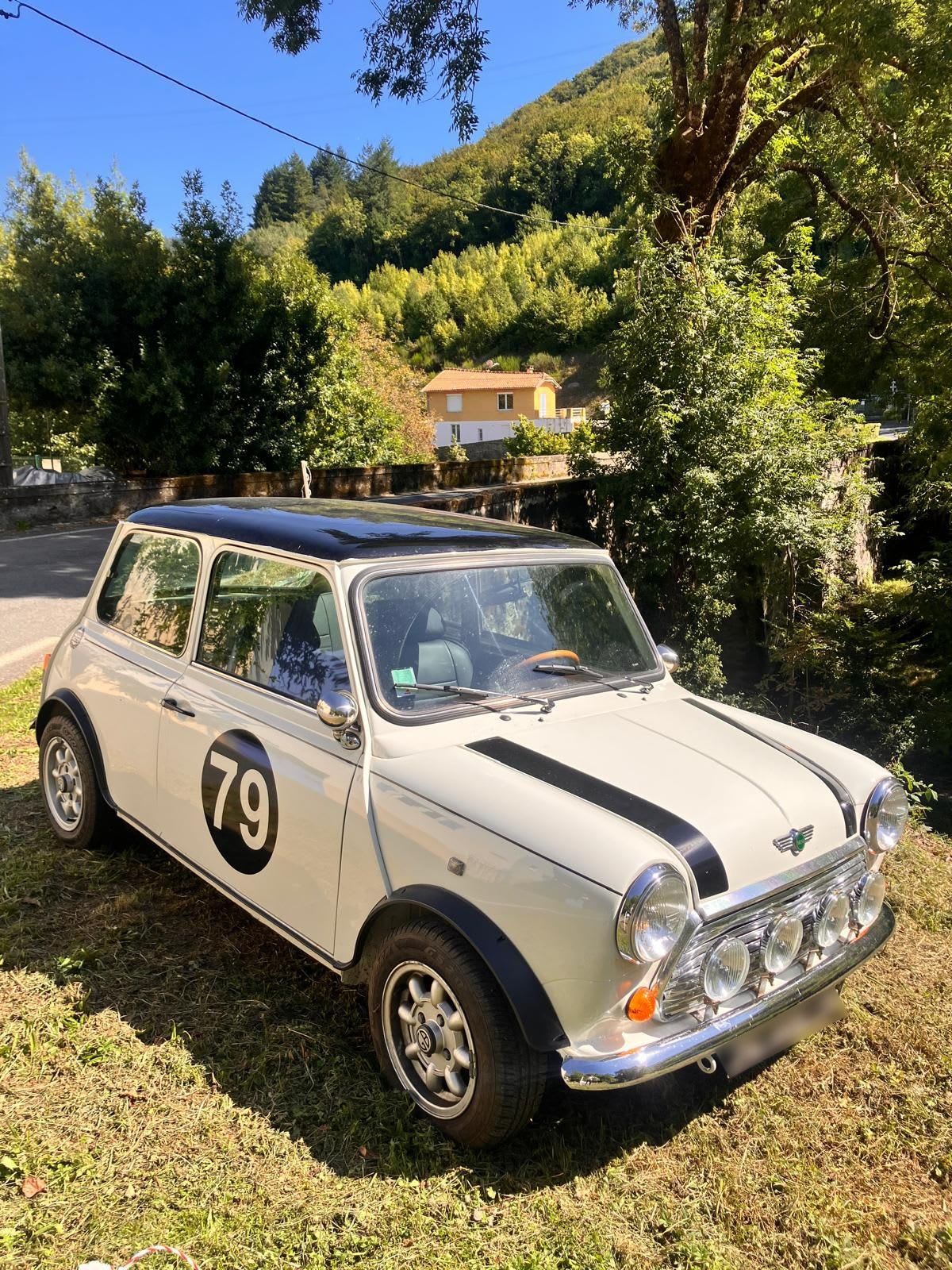 Austin Mini 1988