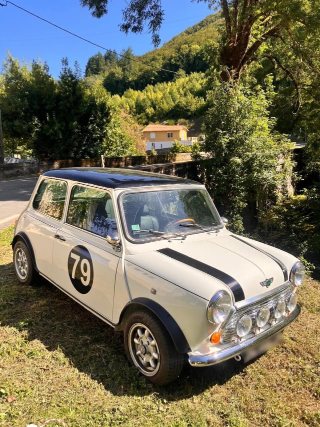 AUSTIN Mini 1988 1988 occasion