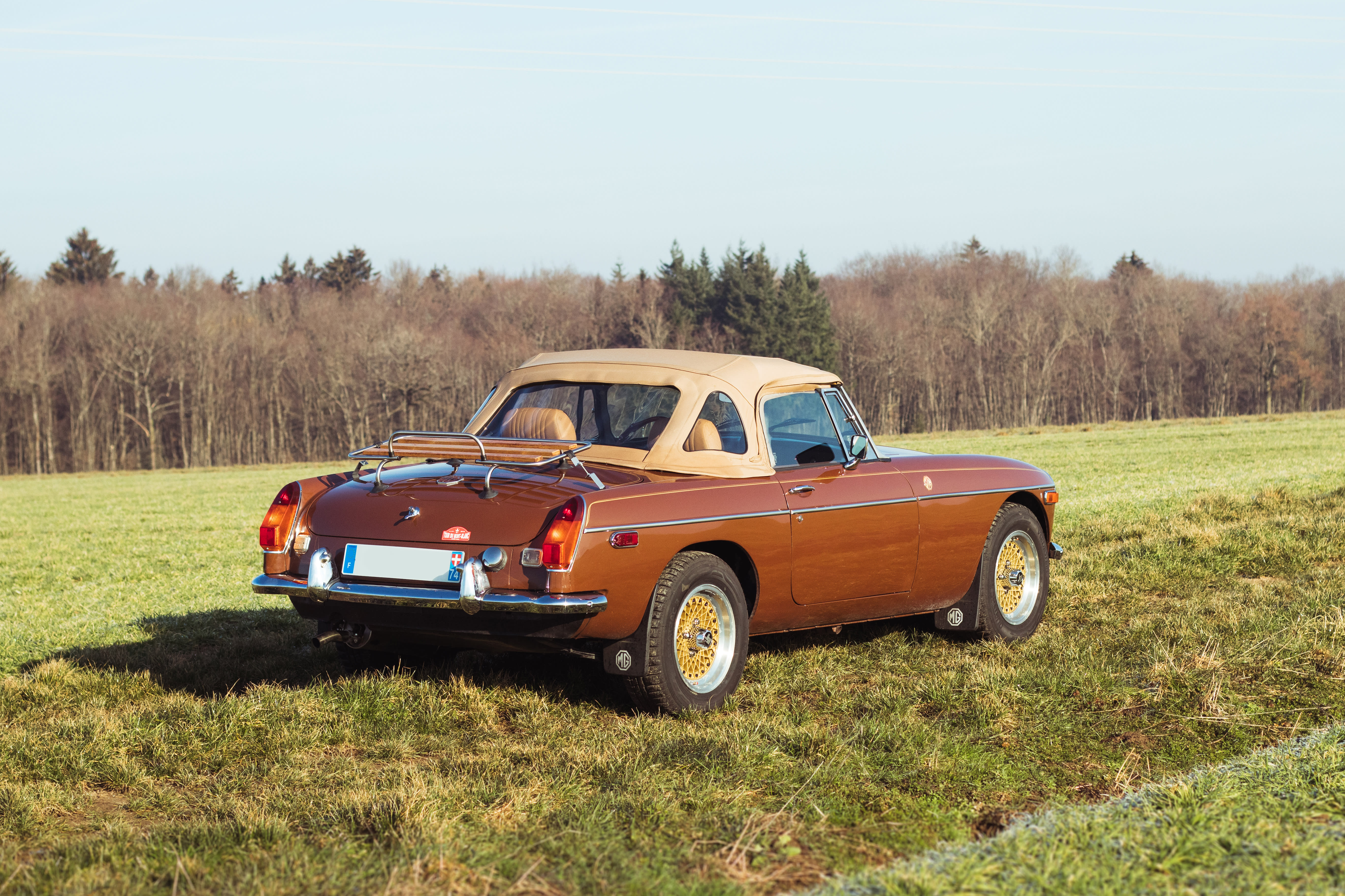 Mg B