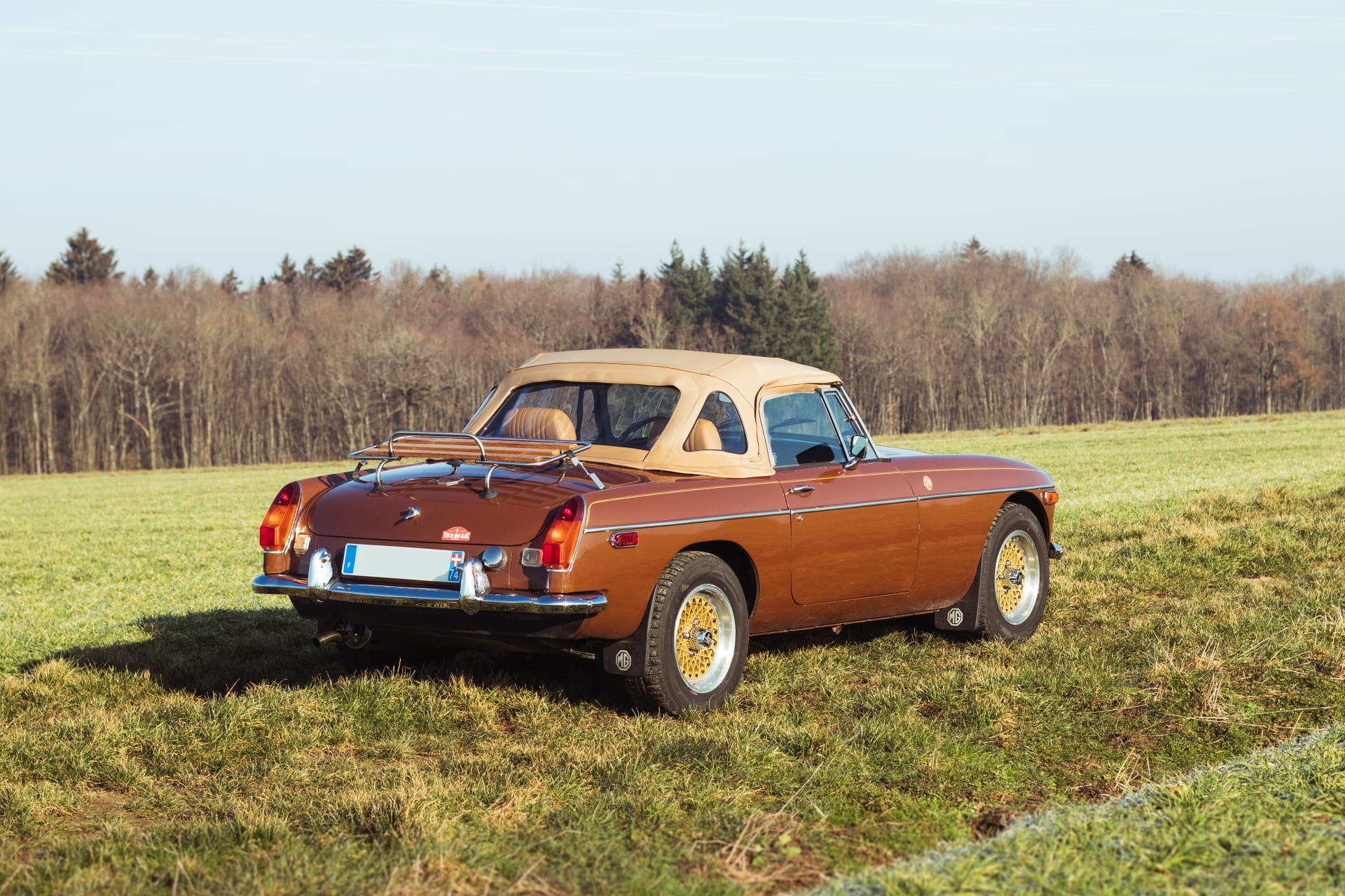Mg B